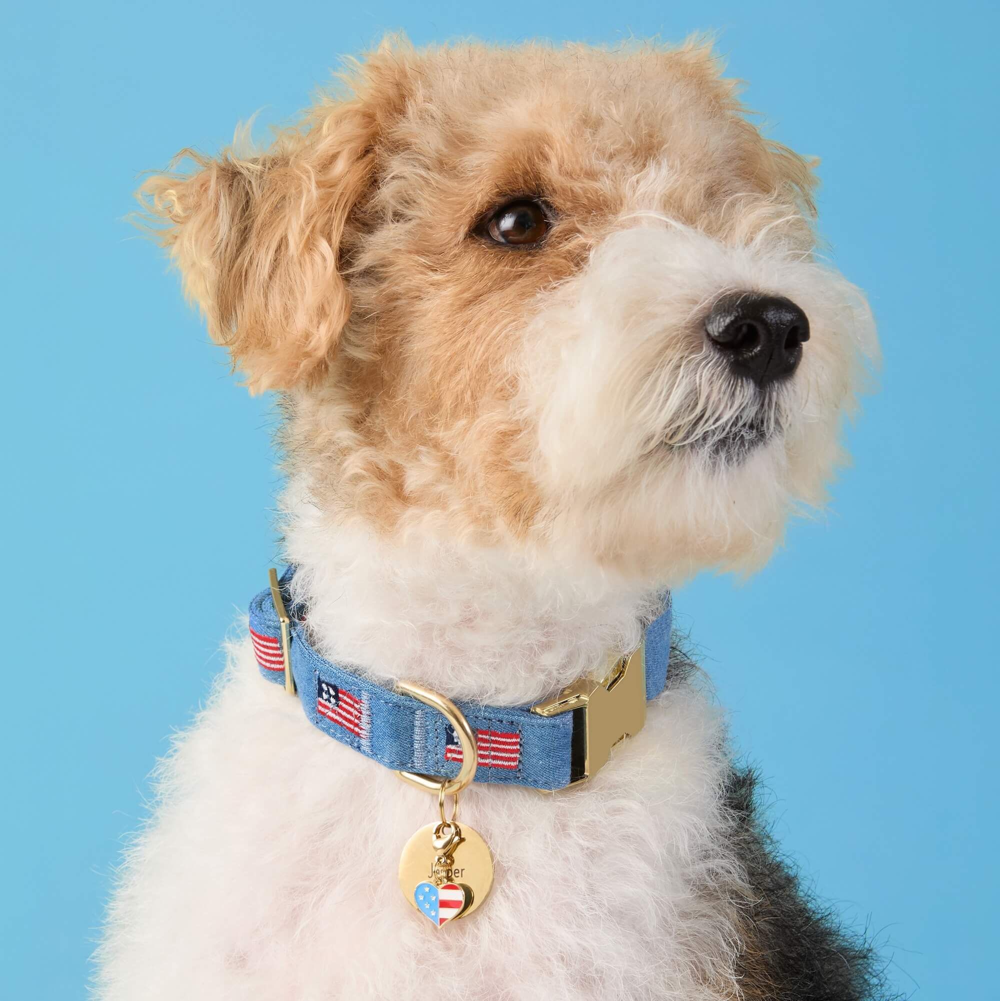 American Flag Embroidered Dog Collar - Image 6