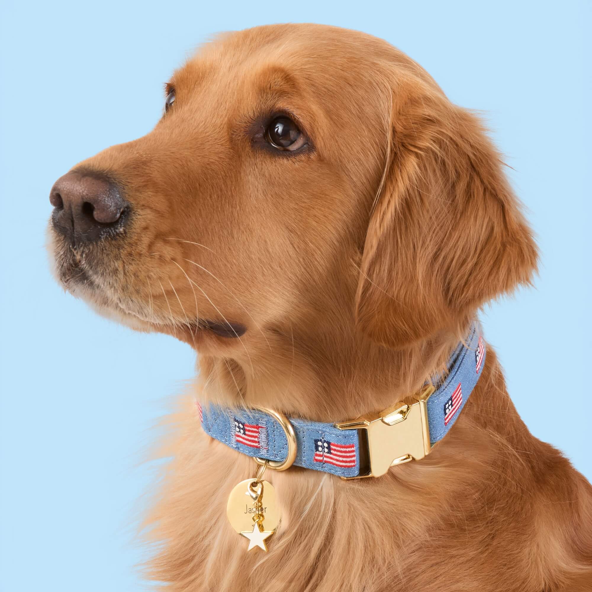 American Flag Embroidered Dog Collar - Image 7
