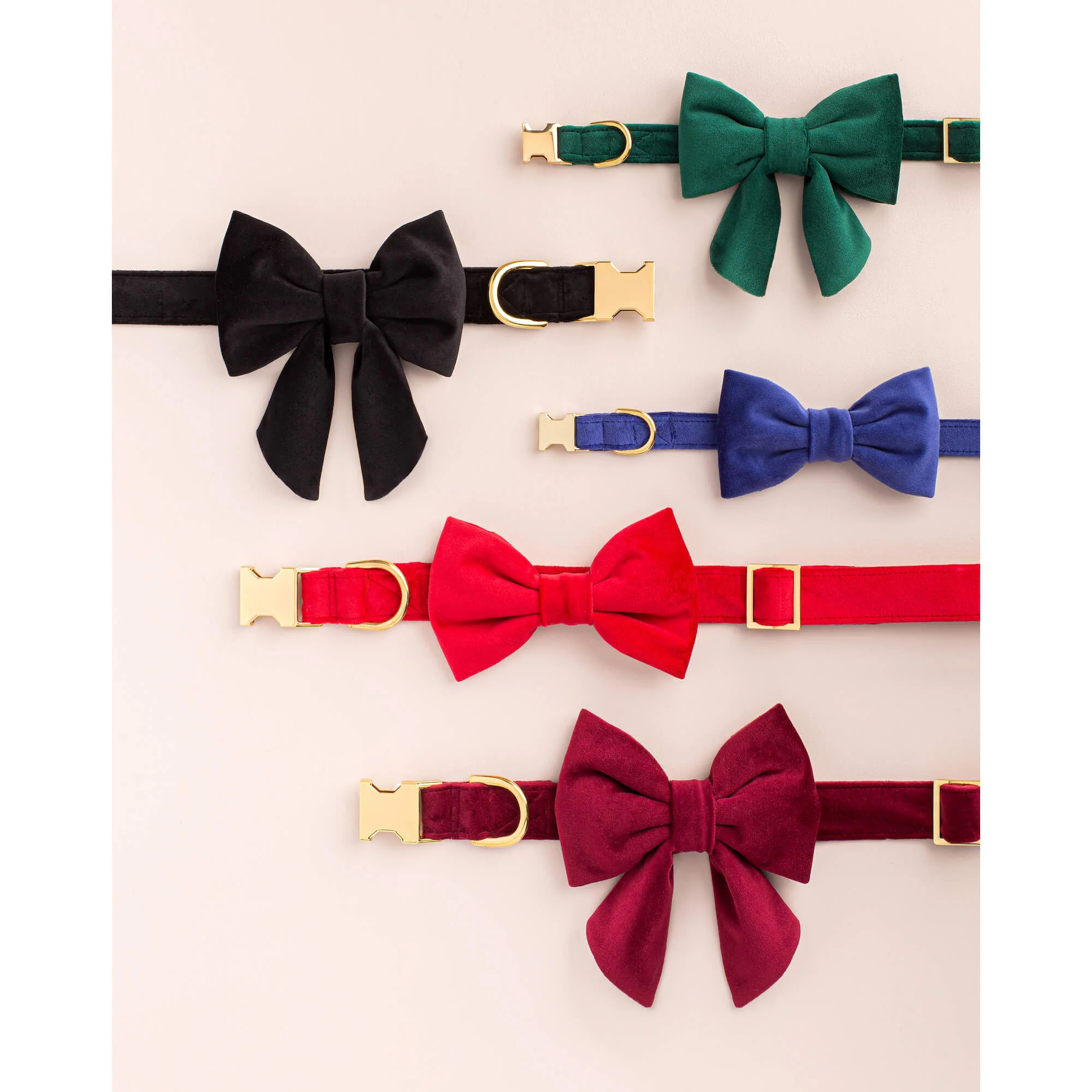 Black Velvet Lady Bow Collar - Image 6