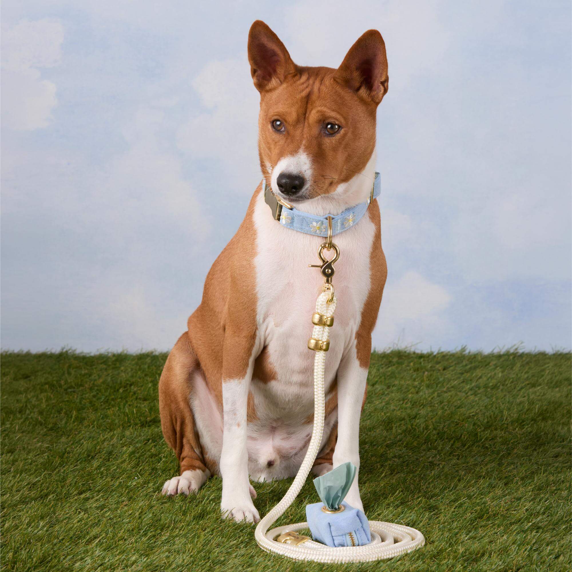 Ivory Marine Rope Dog Leash - Image 4