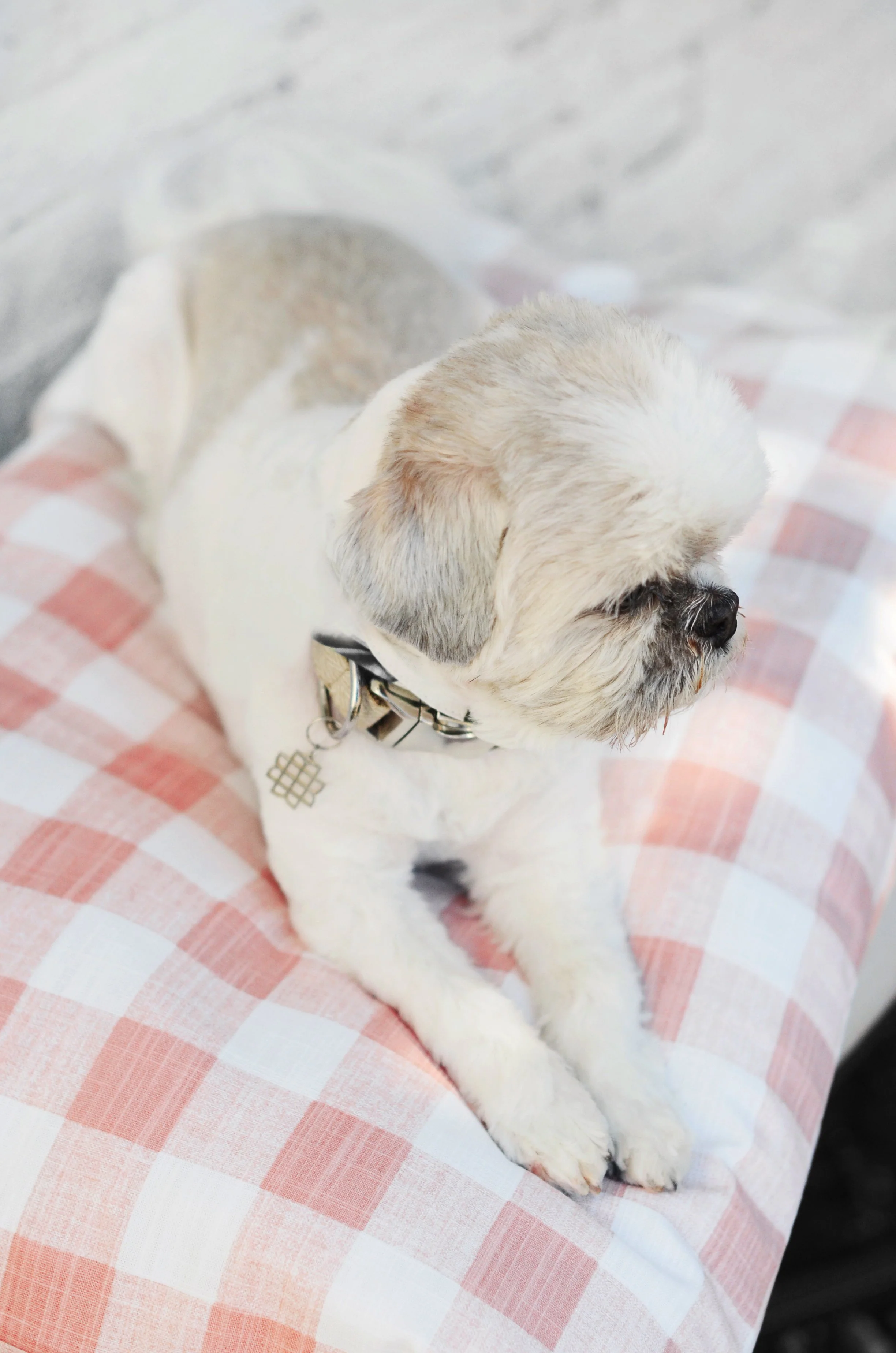 Blush Pink Gingham Check Dog Bed - Image 11