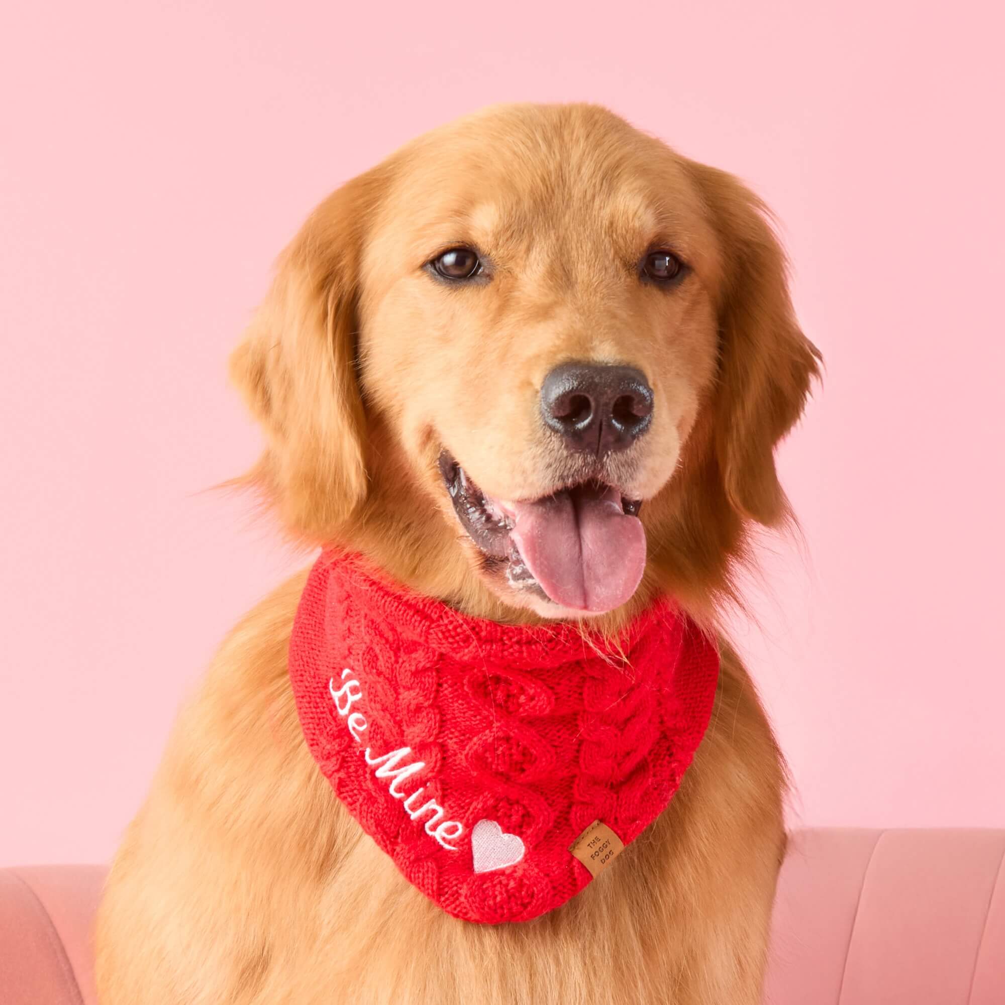 Cable Knit Dog Bandana - Image 4