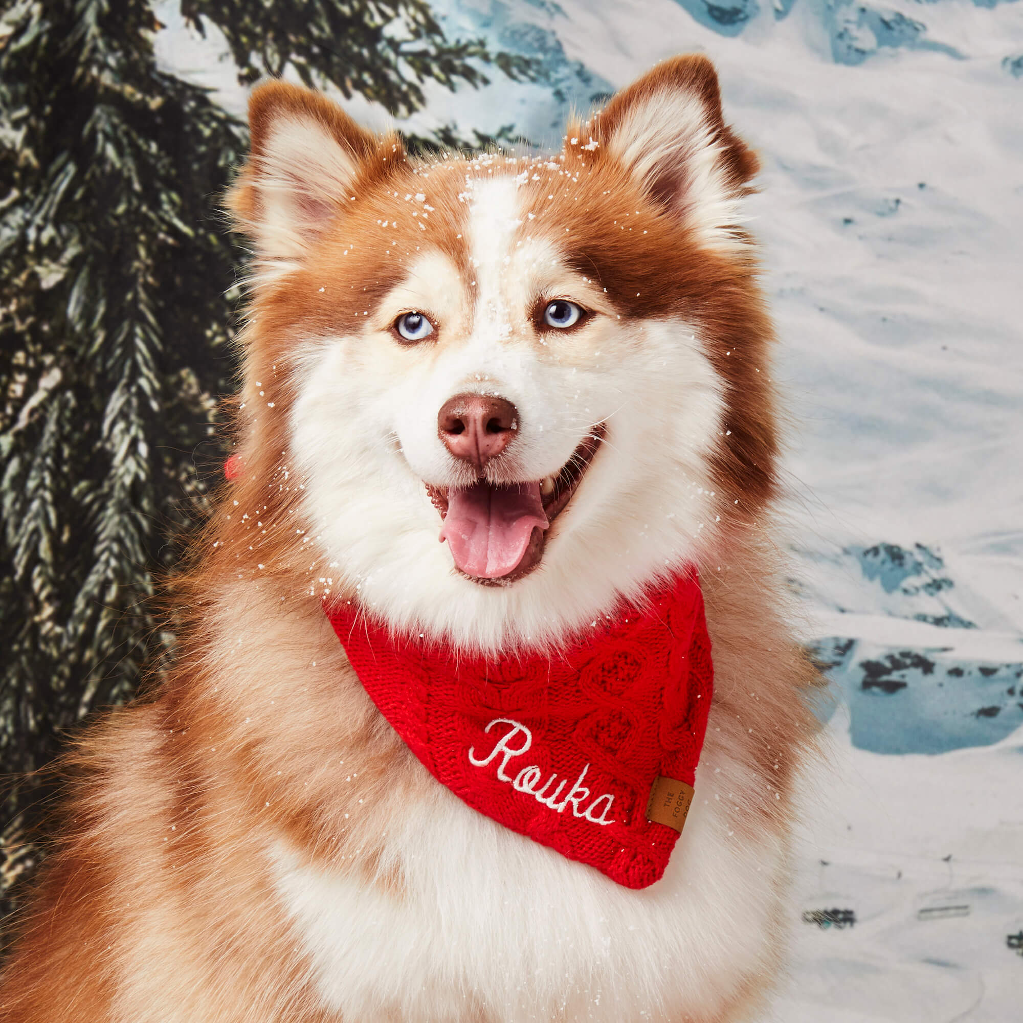 Cable Knit Dog Bandana - Image 5