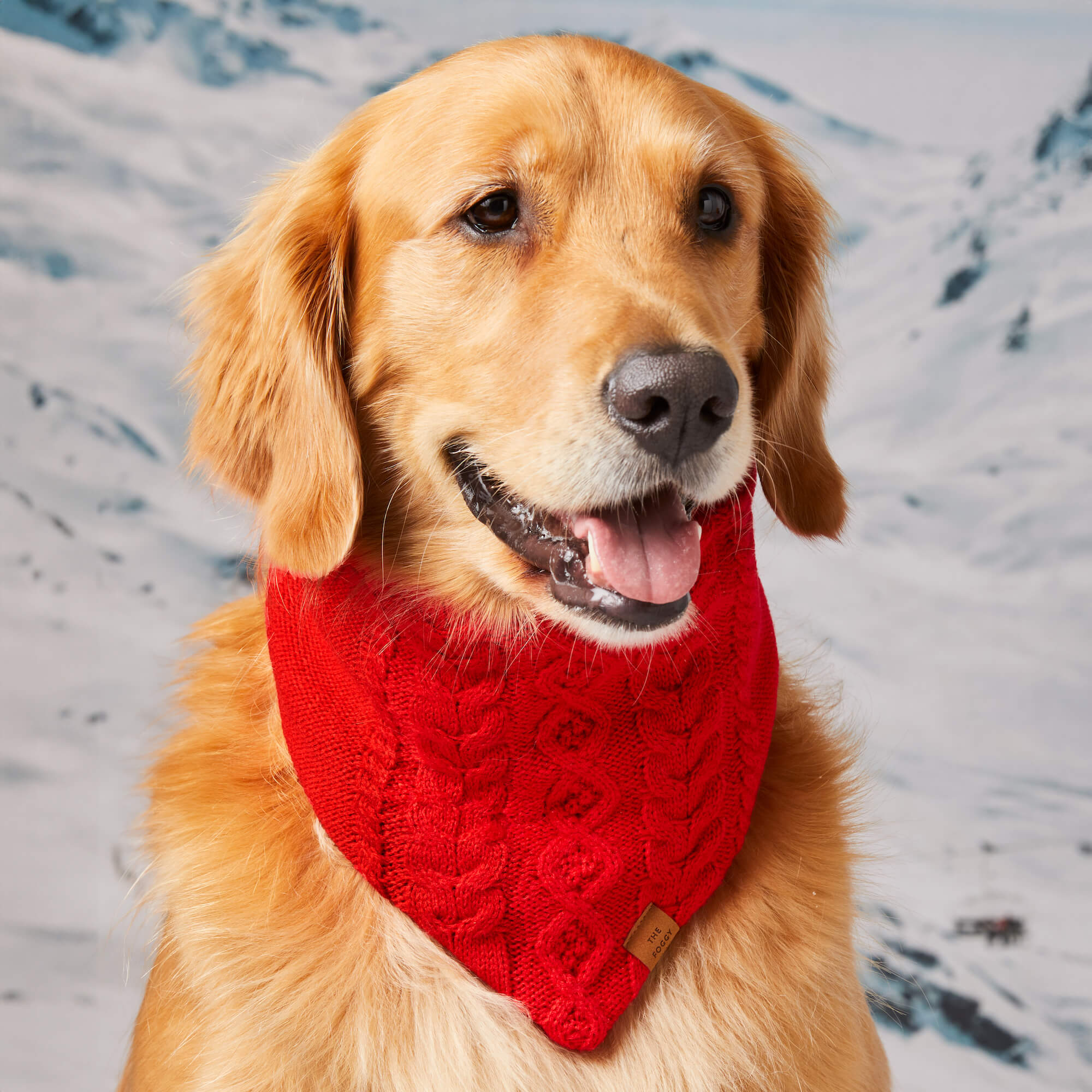 Cable Knit Dog Bandana - Image 7