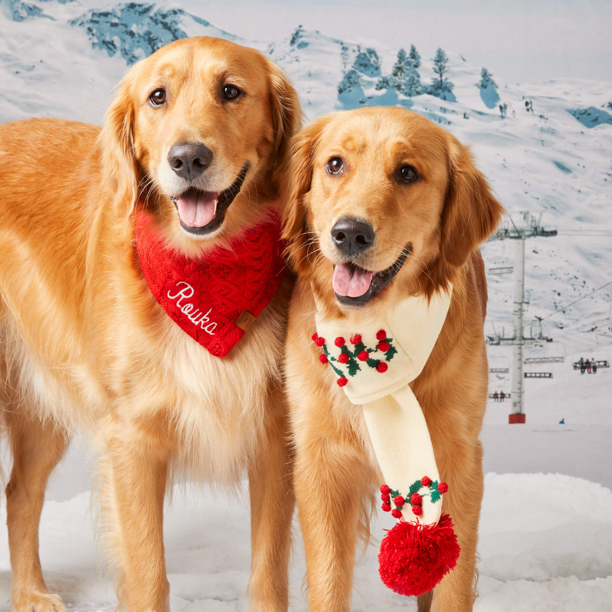 Cable Knit Dog Bandana - Image 9