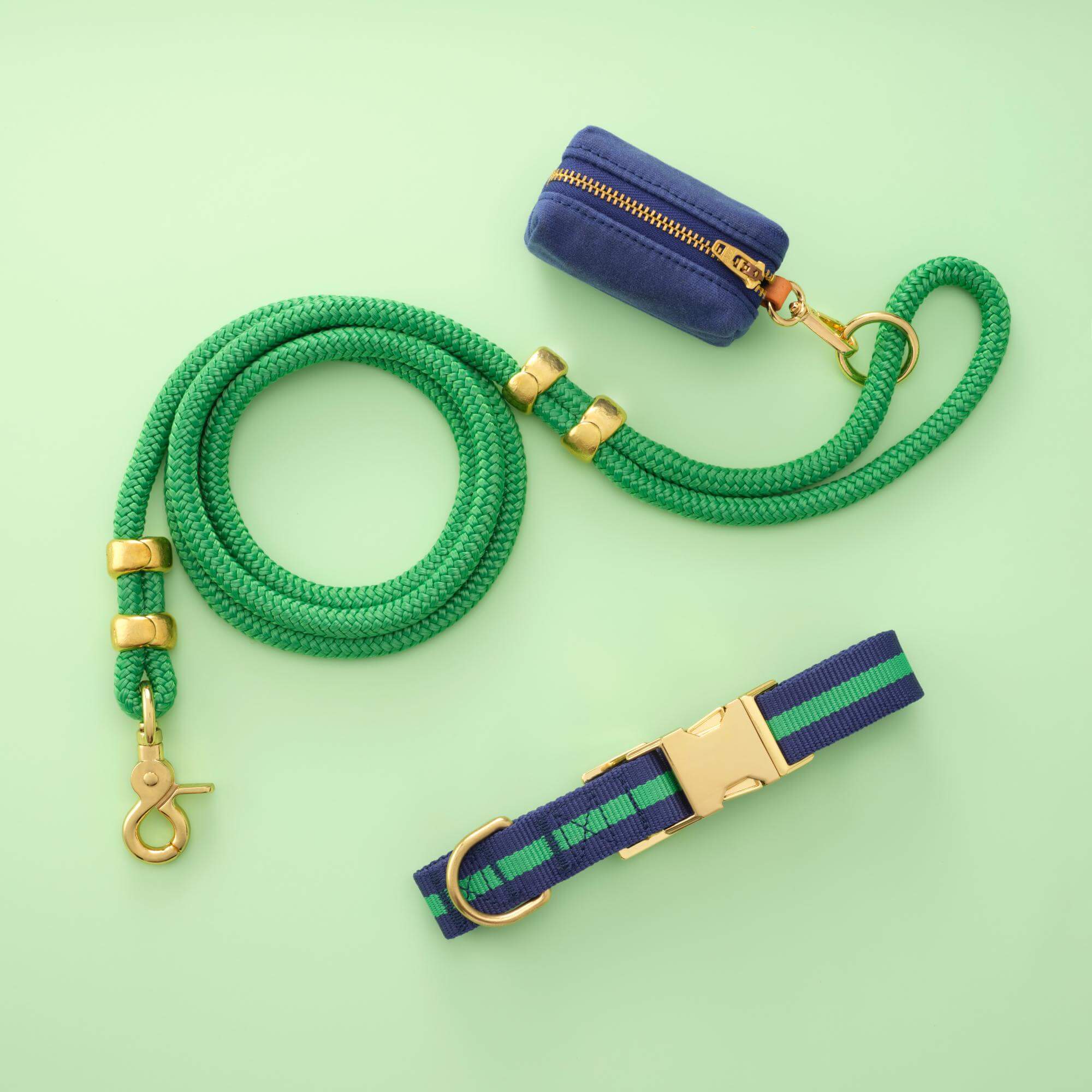 Camden Striped Webbing Collar Walk Set - Image 3