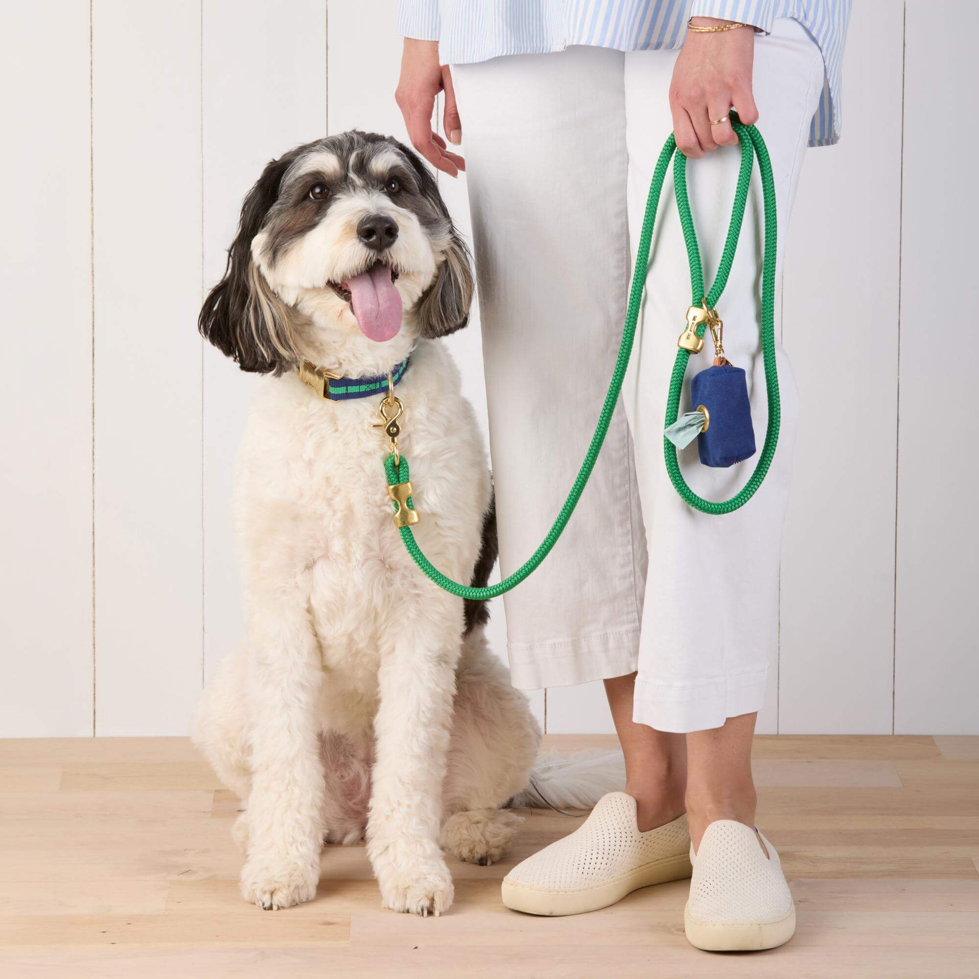 Camden Striped Webbing Collar Walk Set - Image 4