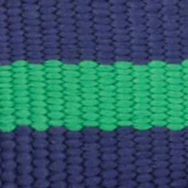 Camden Striped Webbing Collar Walk Set - Image 6