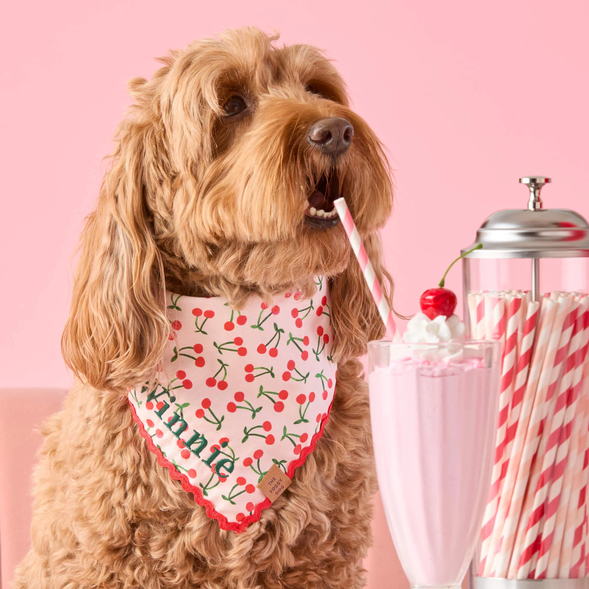 Cherry Jubilee Dog Bandana - Image 3
