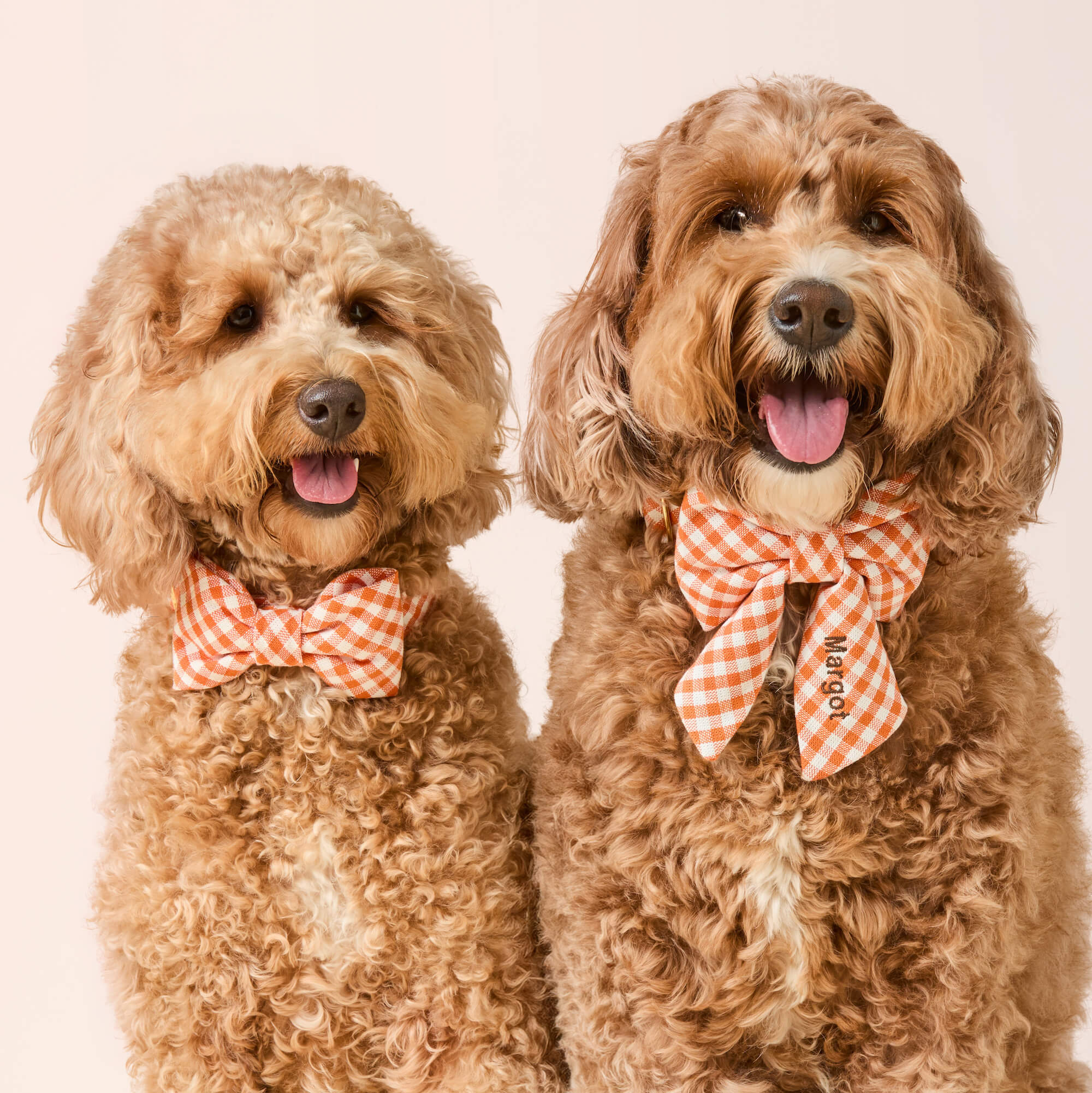 Cider Gingham Bow Tie Collar - Image 4