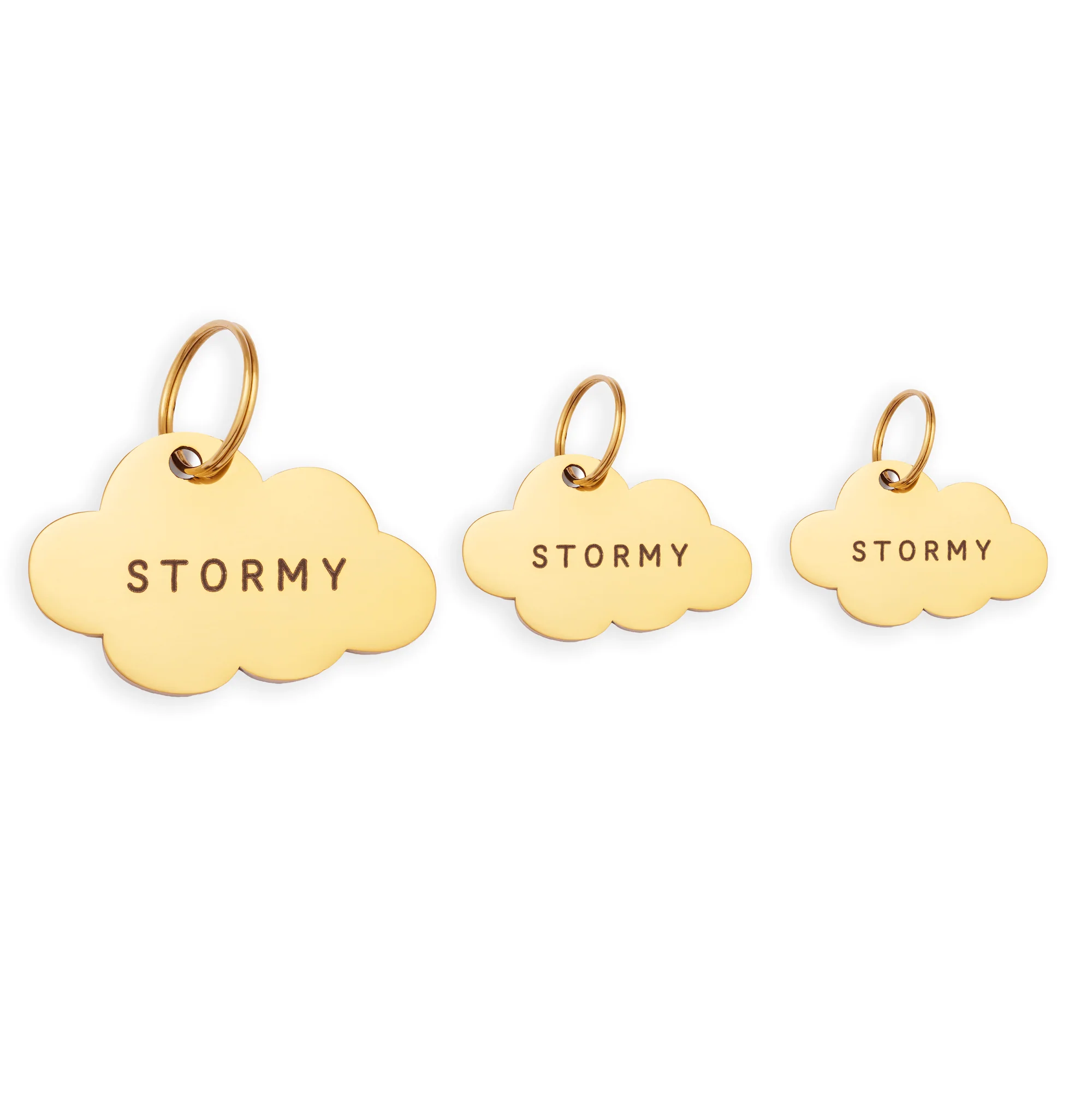 Cloud Pet ID Tag - Image 3