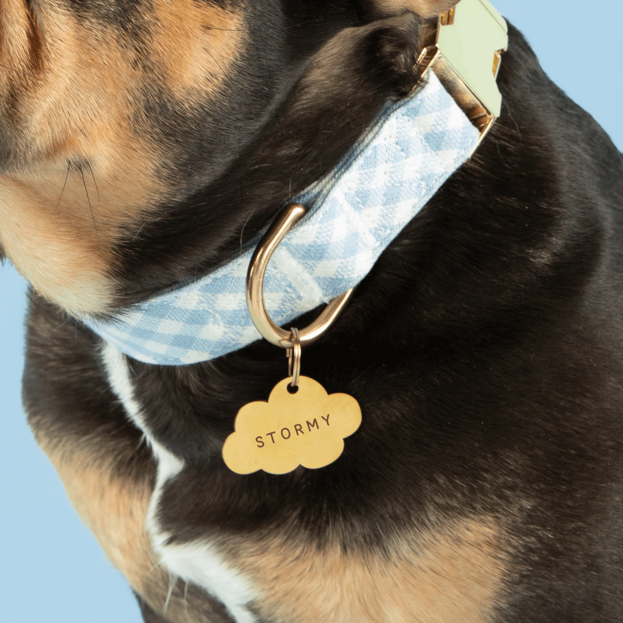 Cloud Pet ID Tag - Image 4