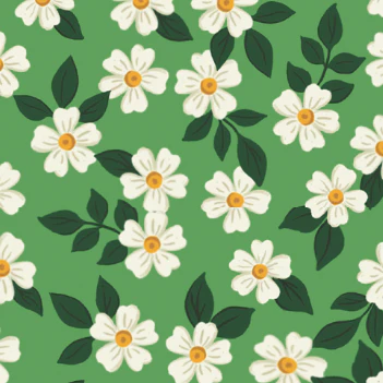 Dainty Daisies Collar Walk Set - Image 7