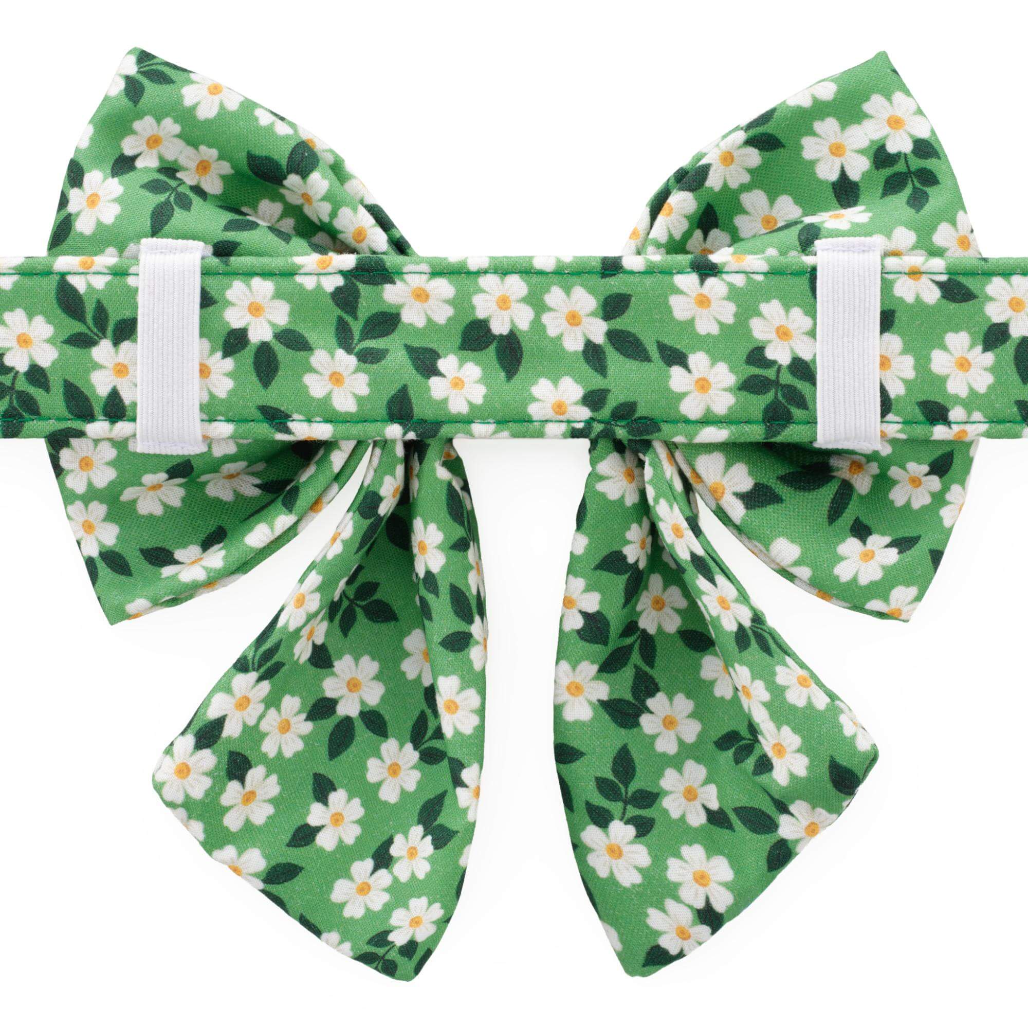 Dainty Daisies Lady Bow Collar - Image 3