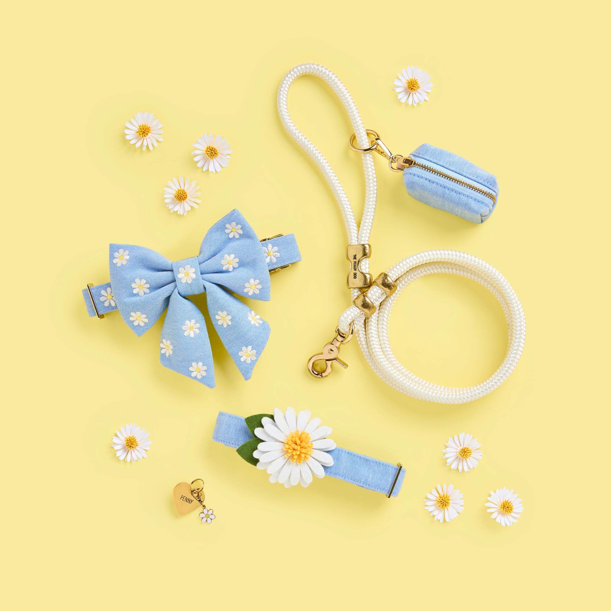 Blue Chambray Collar Walk Set - Image 5