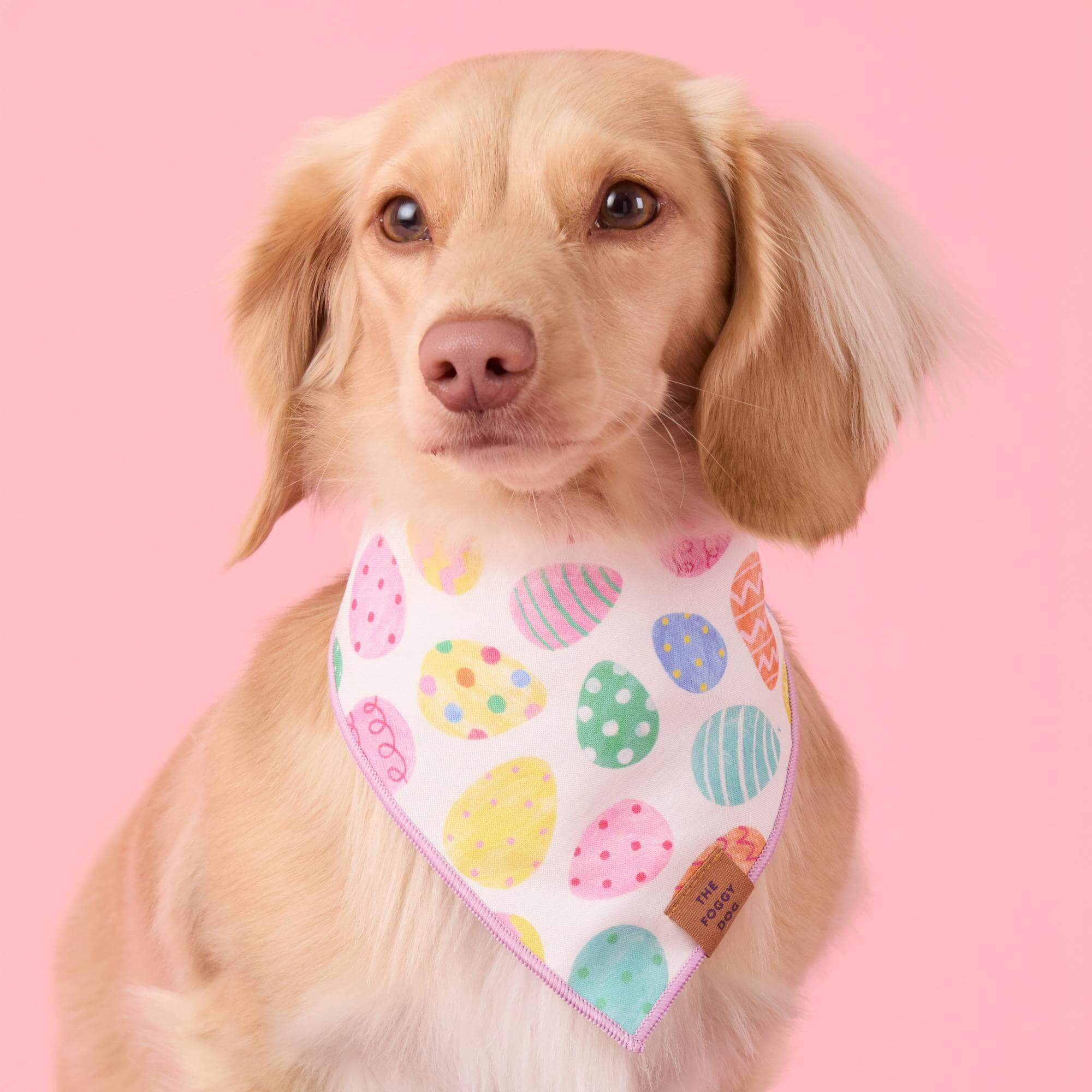 Easter Eggs Reversible Dog Bandana - Image 4