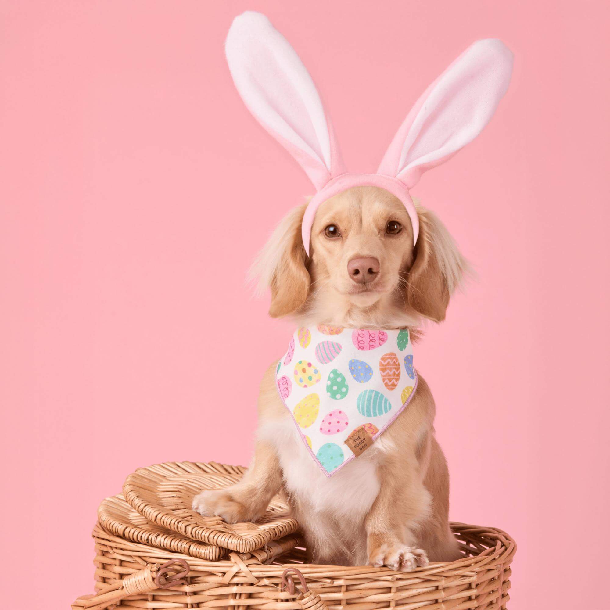 Easter Eggs Reversible Dog Bandana - Image 5