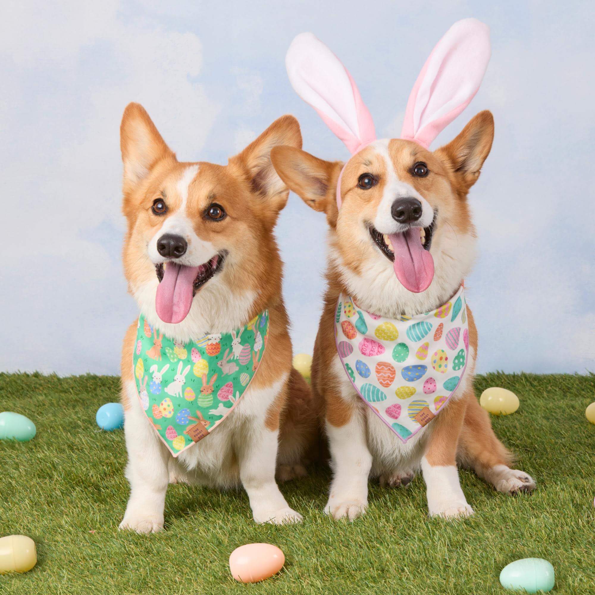 Easter Eggs Reversible Dog Bandana - Image 6