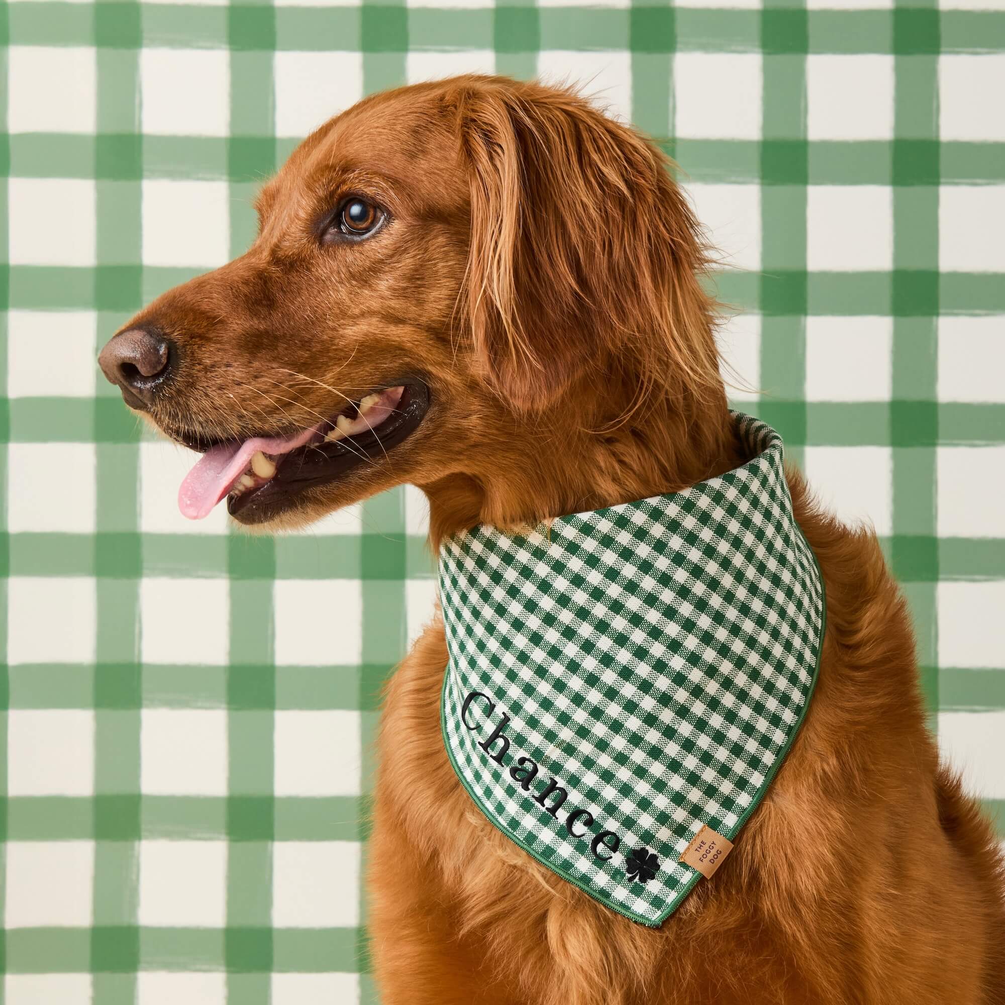 Evergreen Gingham Dog Bandana - Image 3