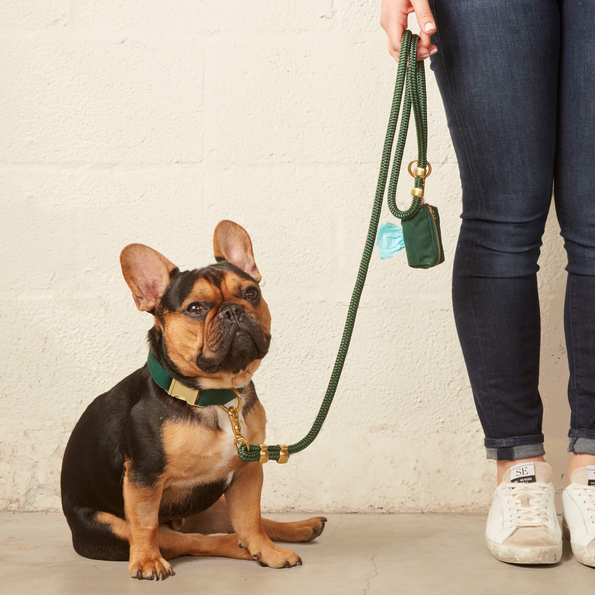 Evergreen Marine Rope Dog Leash - Image 17