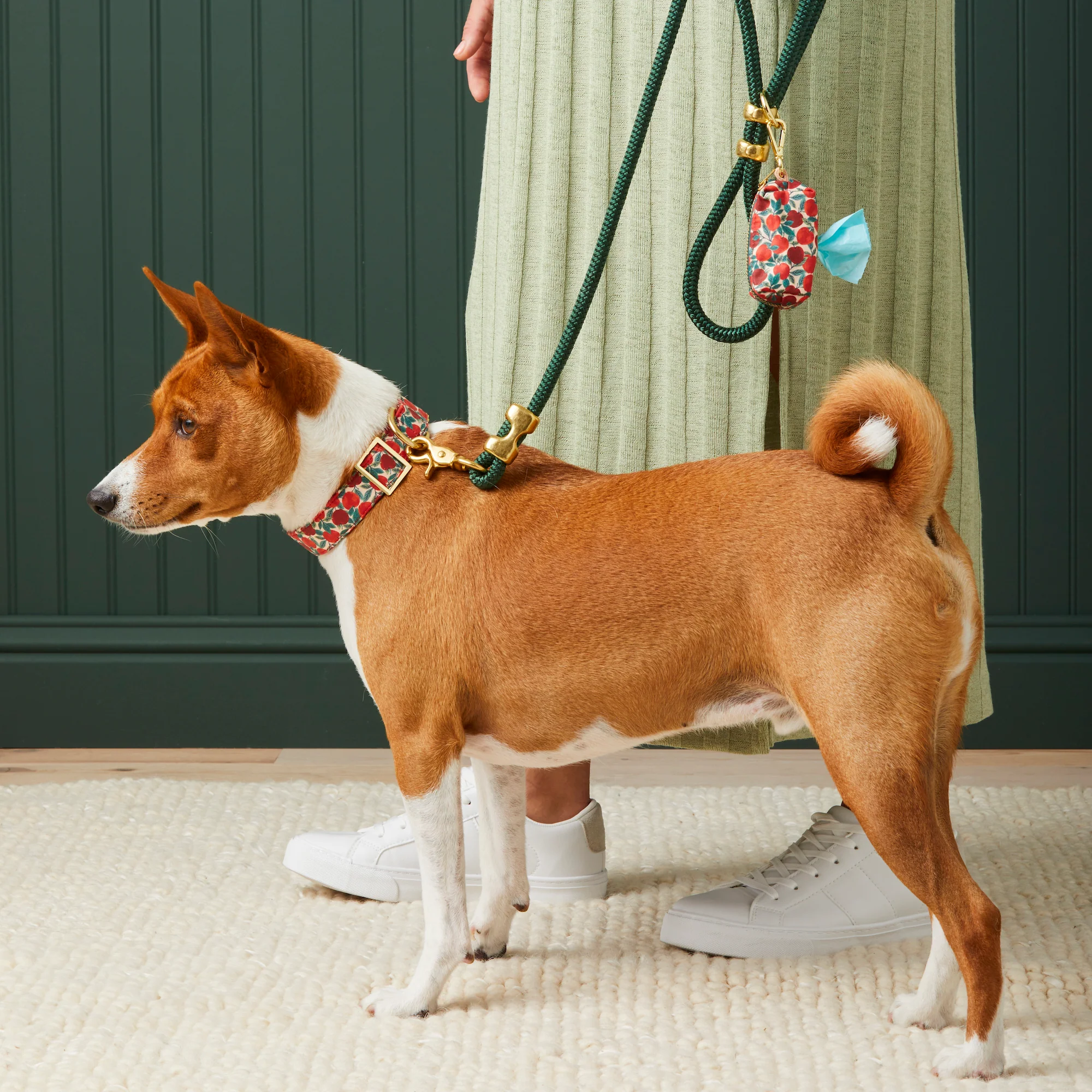 Evergreen Marine Rope Dog Leash - Image 8