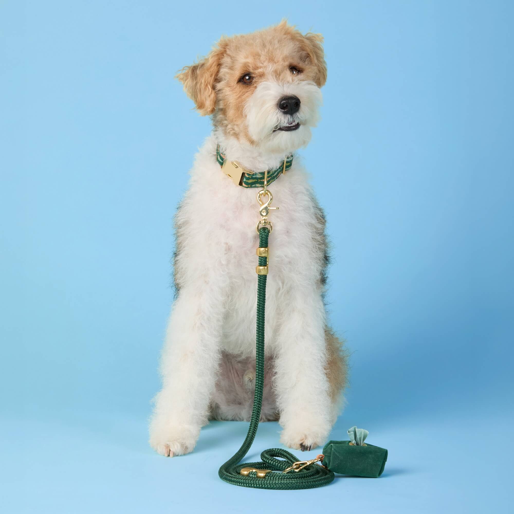 Evergreen Marine Rope Dog Leash - Image 4