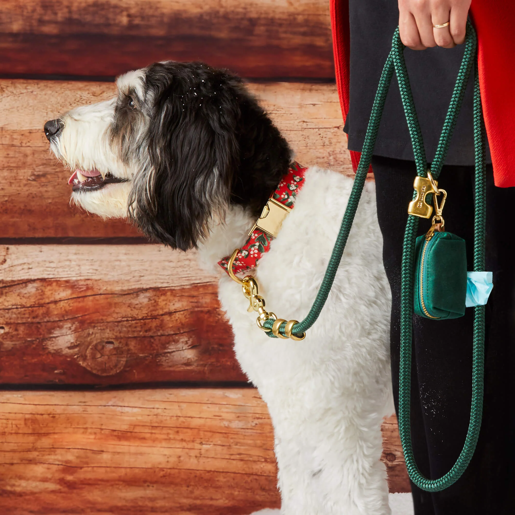 Evergreen Marine Rope Dog Leash - Image 7