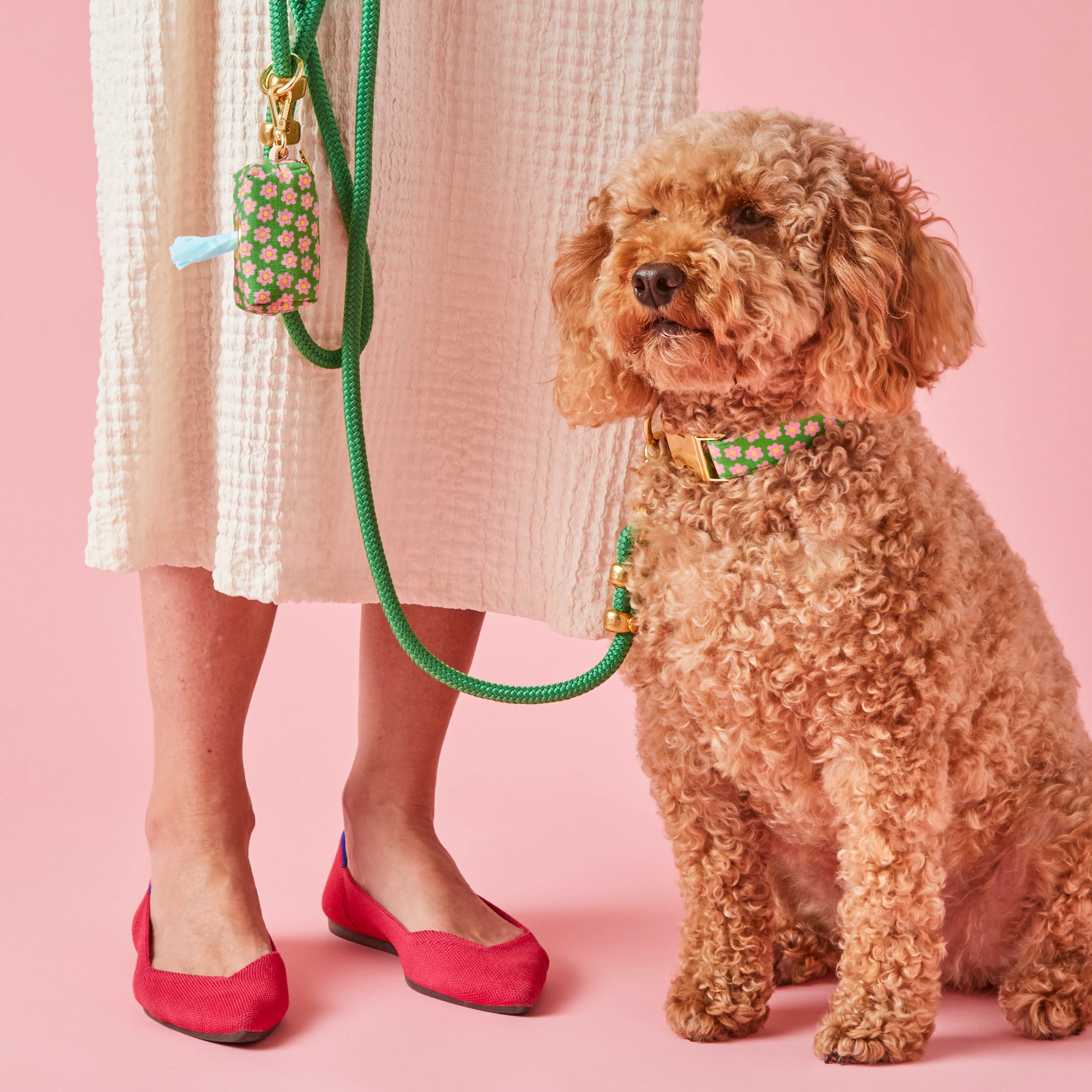 Grass Green Marine Rope Dog Leash - Image 5