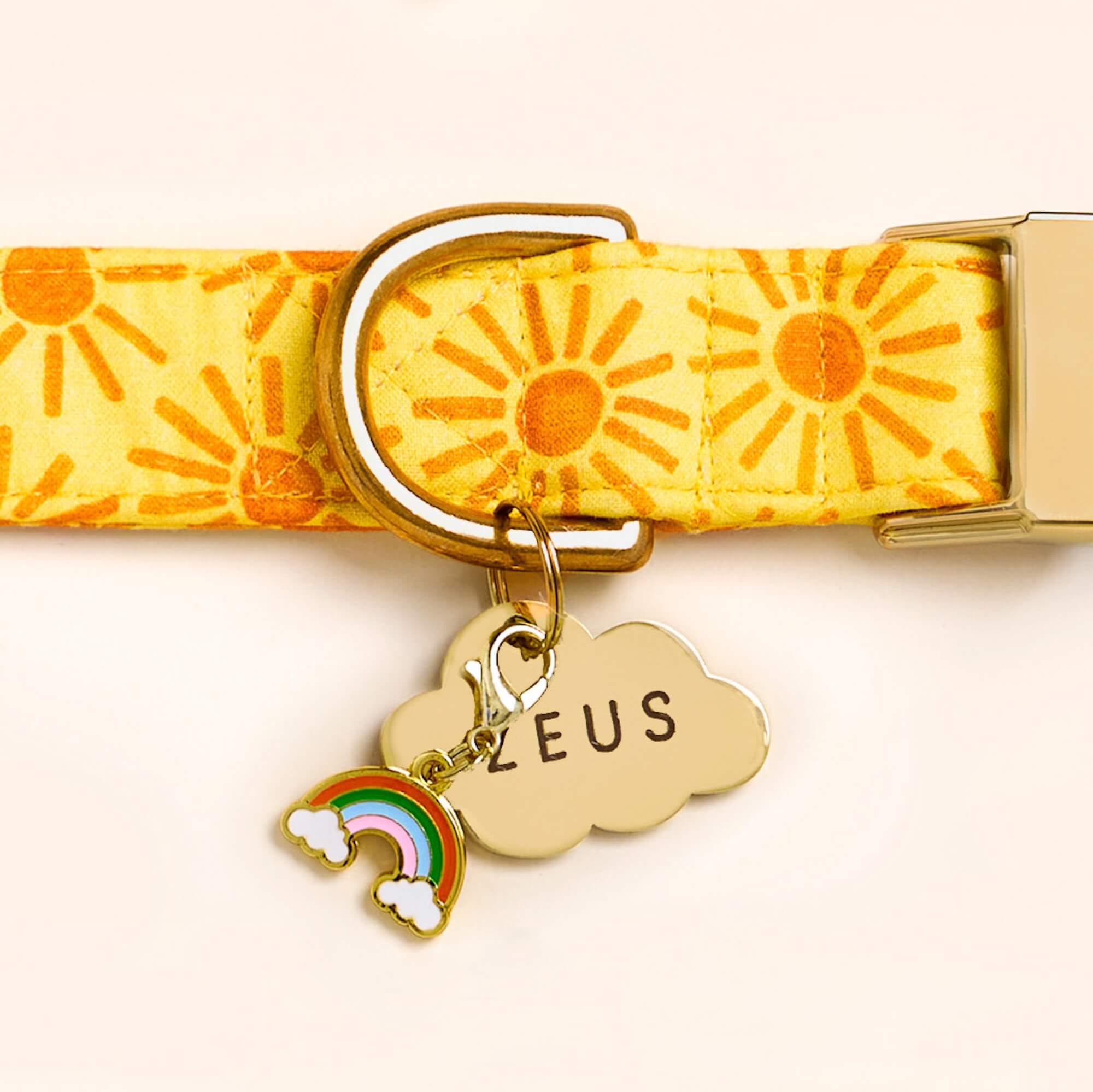 Cloud Pet ID Tag - Image 10