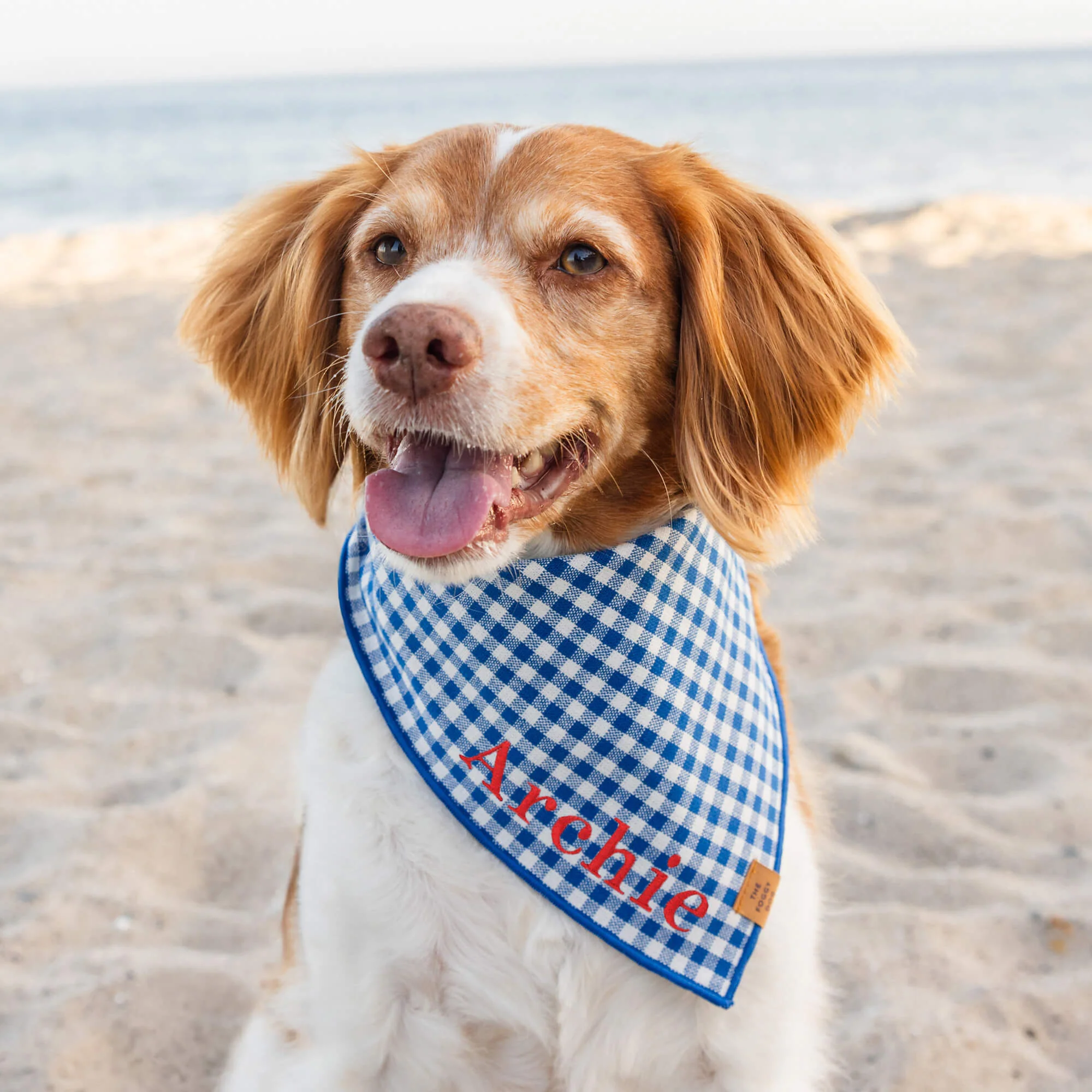 Lake Blue Gingham Dog Bandana - Image 3