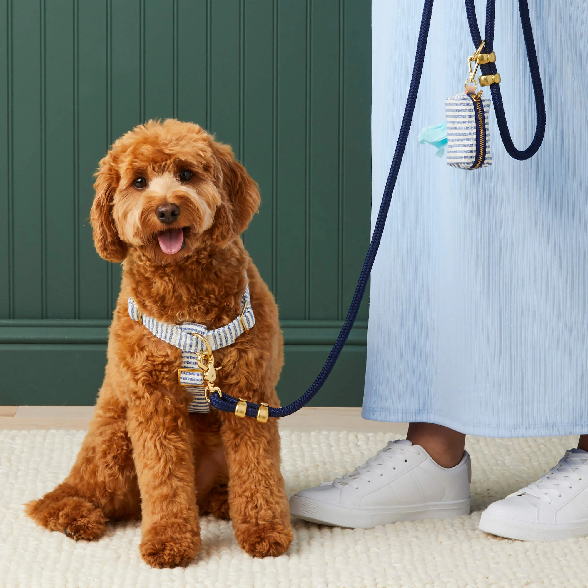 Ocean Marine Rope Dog Leash - Image 6