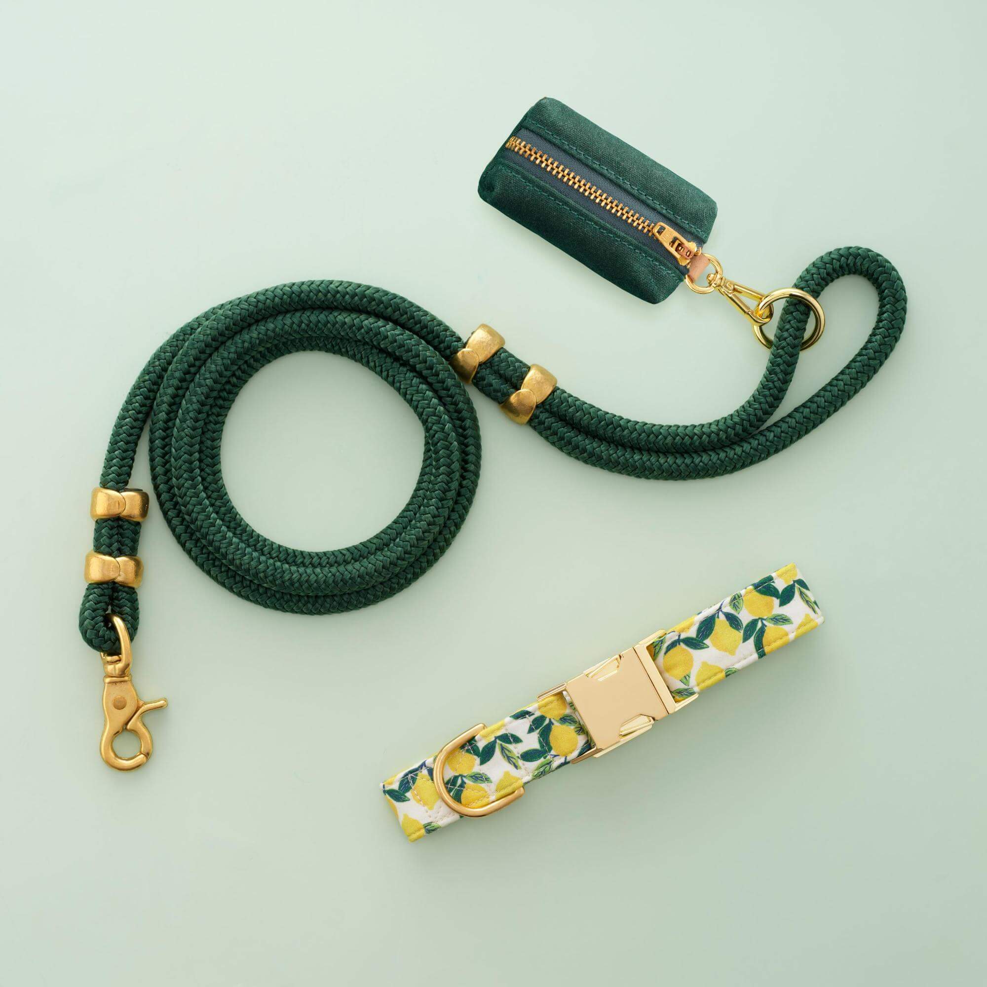 Lemon Zest Collar Walk Set - Image 3