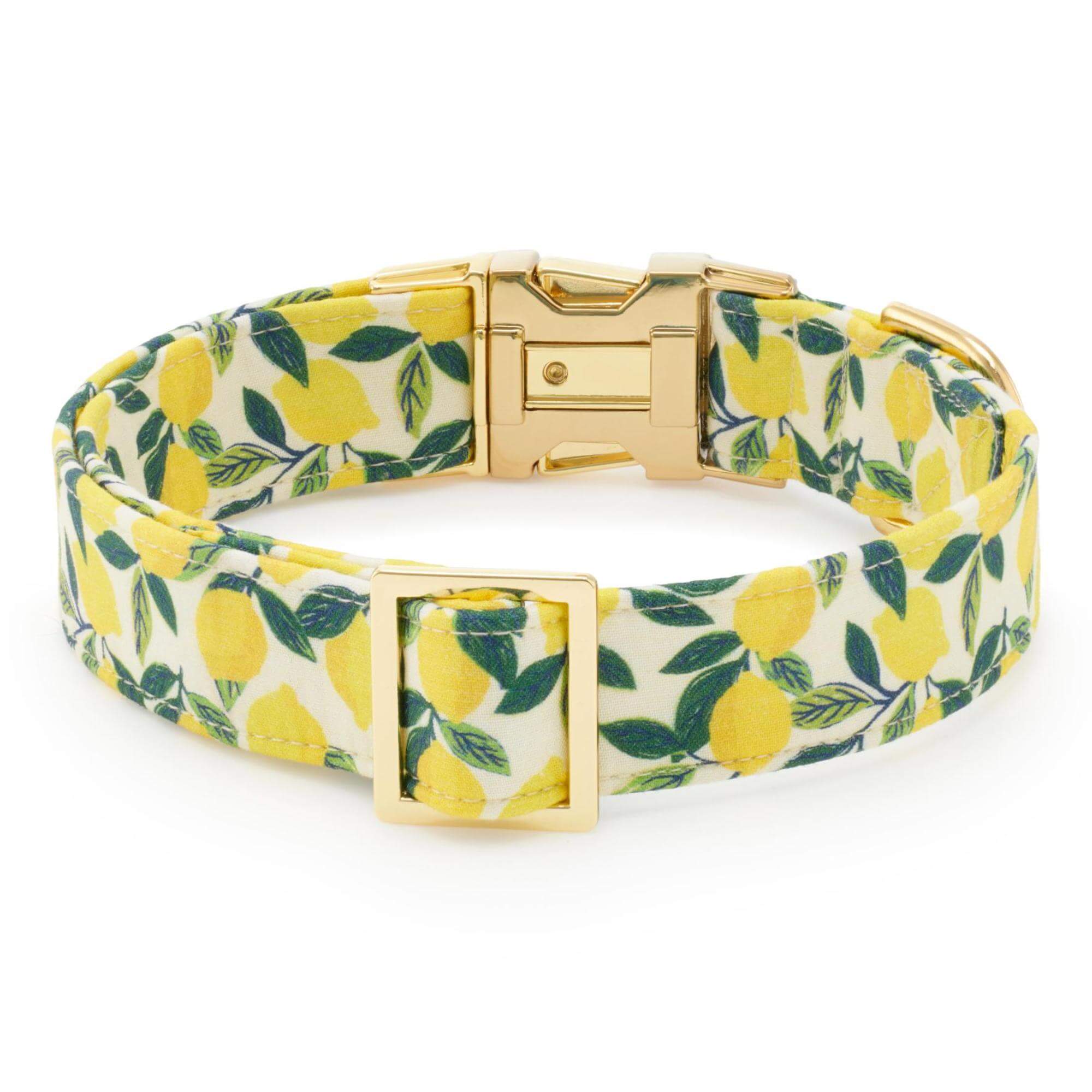 Lemon Zest Dog Collar - Image 3