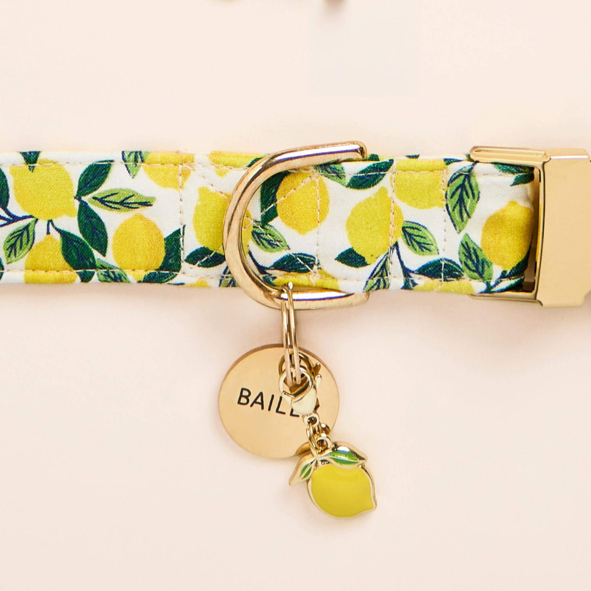Lemon Zest Dog Collar - Image 6
