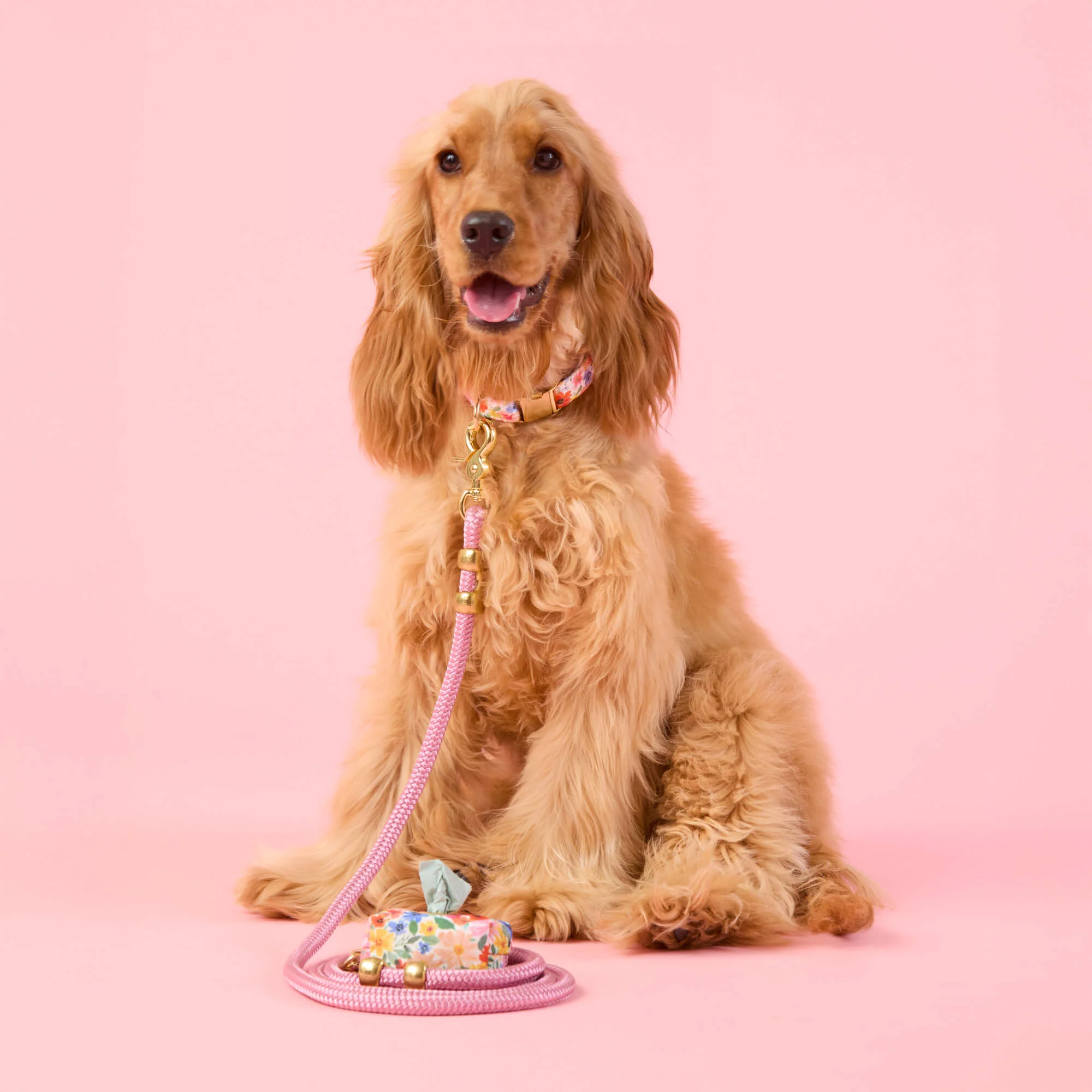 Margaux Collar Walk Set - Image 4