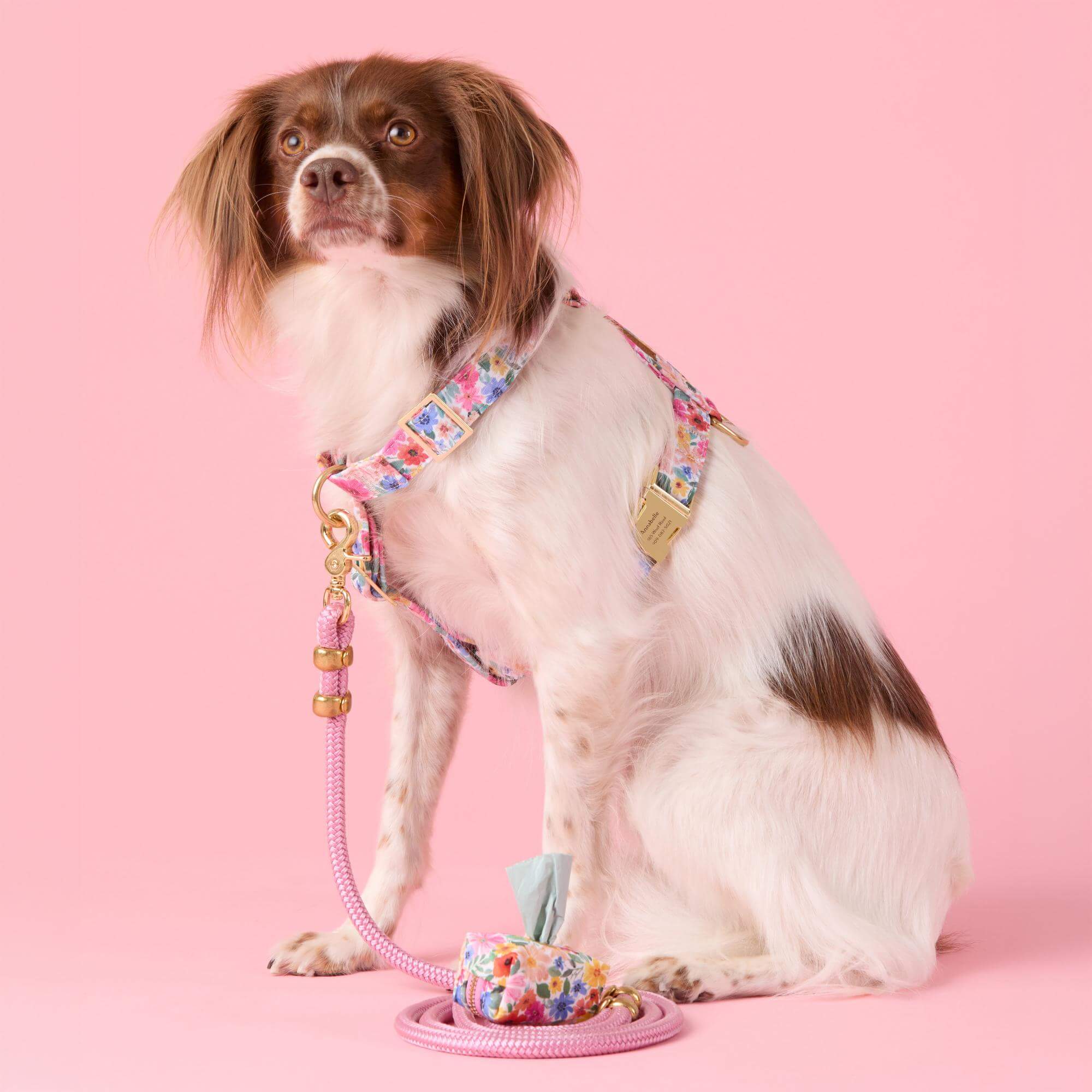 Orchid Marine Rope Dog Leash - Image 4