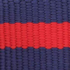 Mariner Striped Webbing Collar Walk Set - Image 6