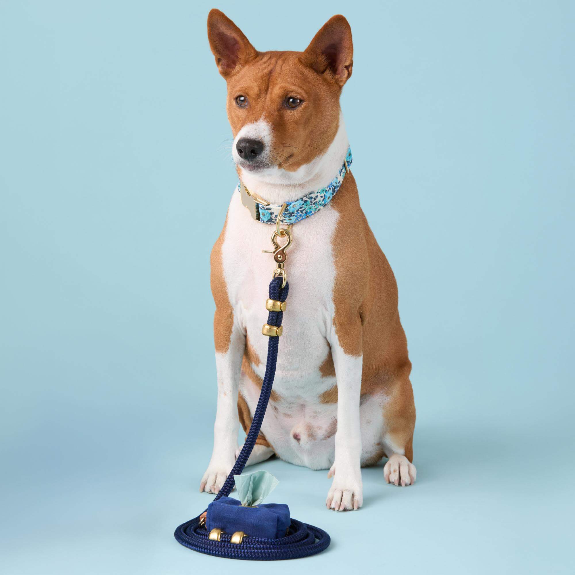 Ocean Marine Rope Dog Leash - Image 5