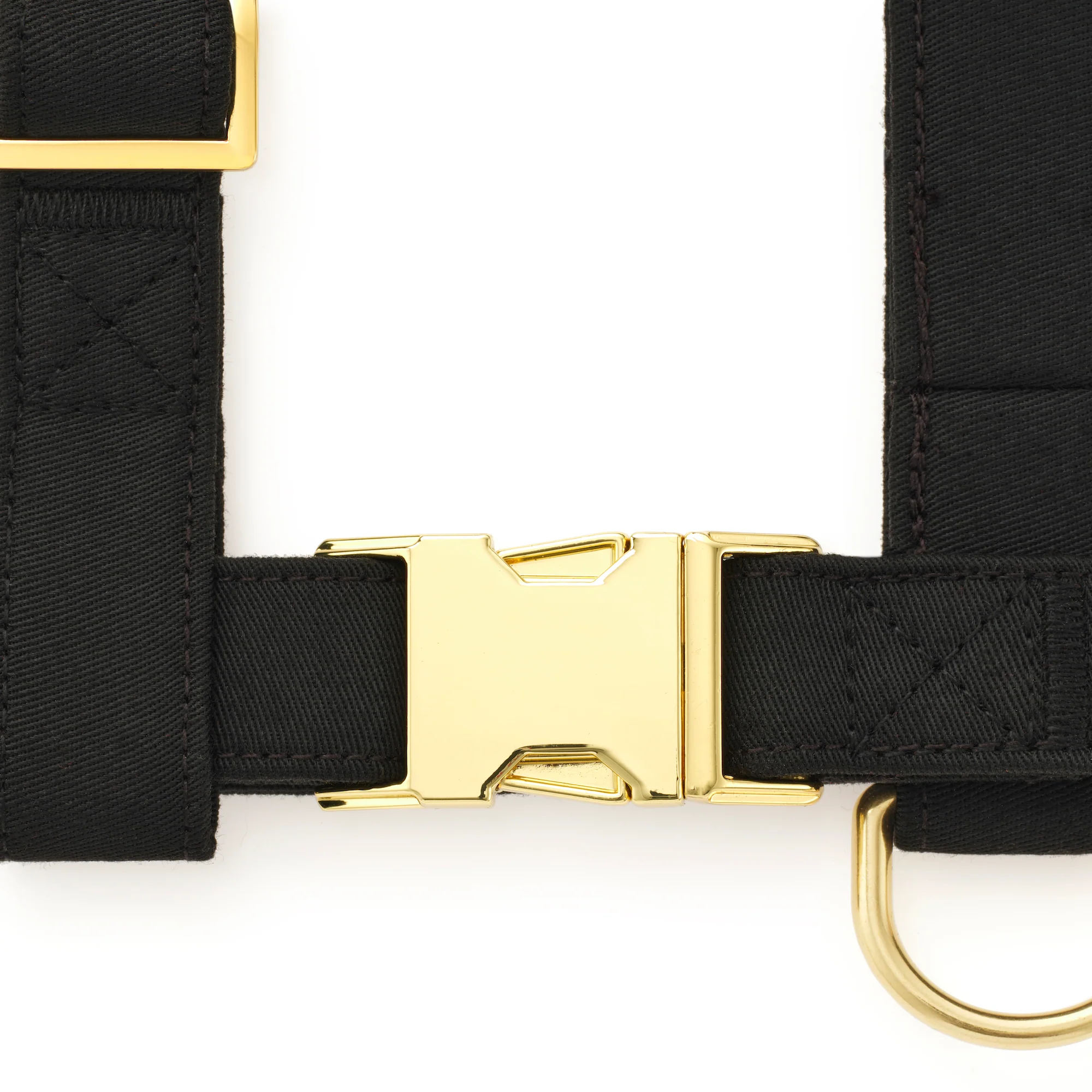 Onyx Harness Walk Set - Image 3