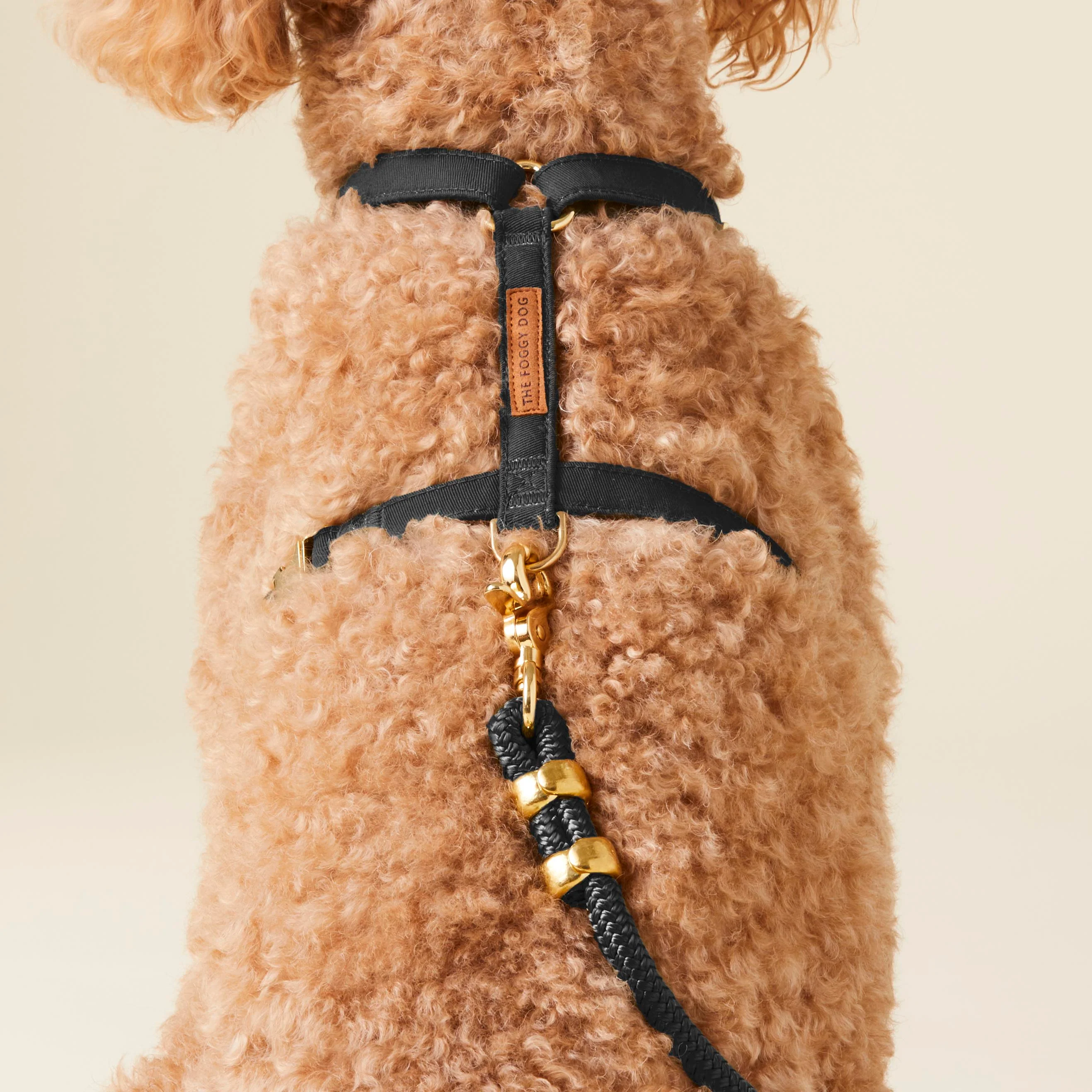Onyx Harness Walk Set - Image 5
