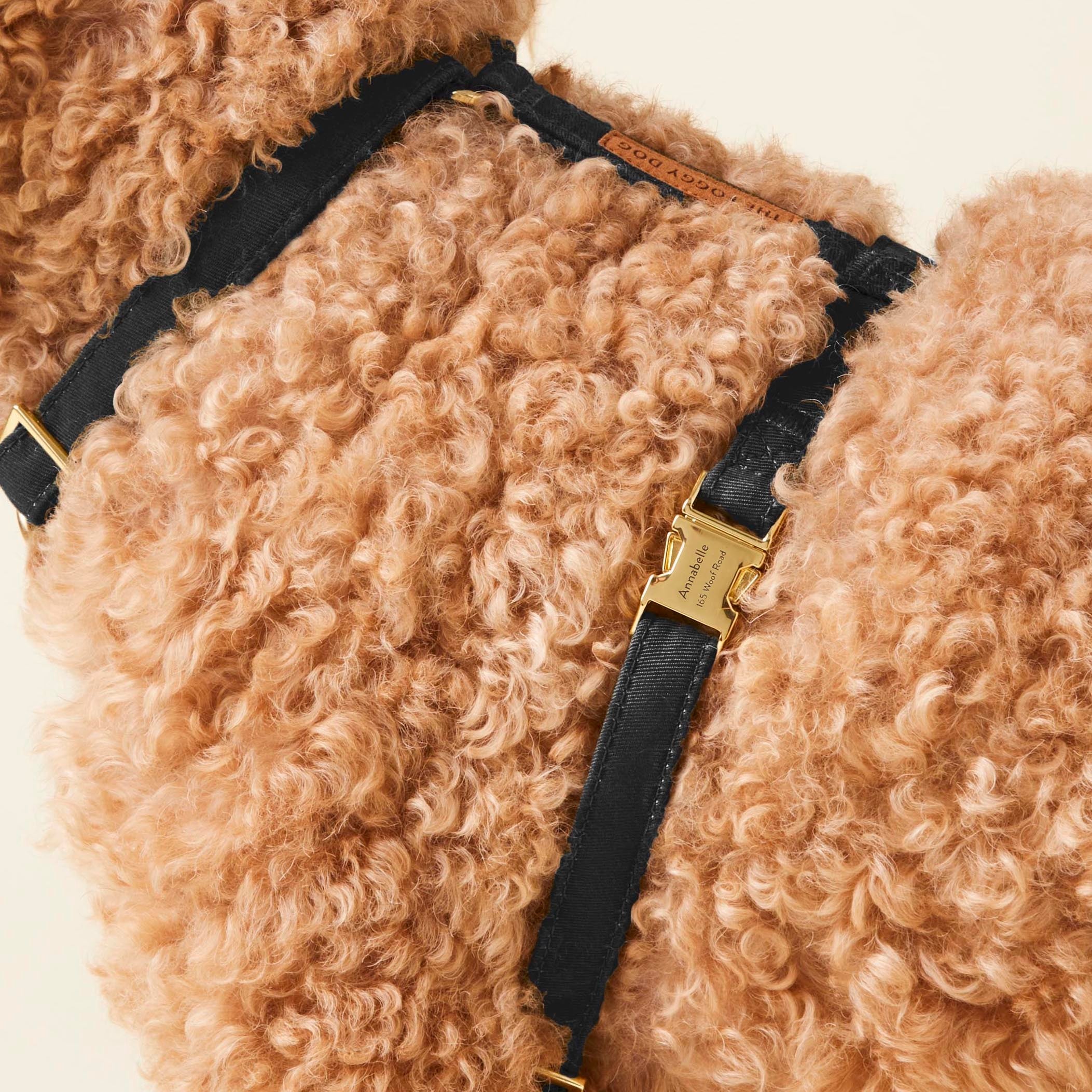 Onyx Harness Walk Set - Image 6