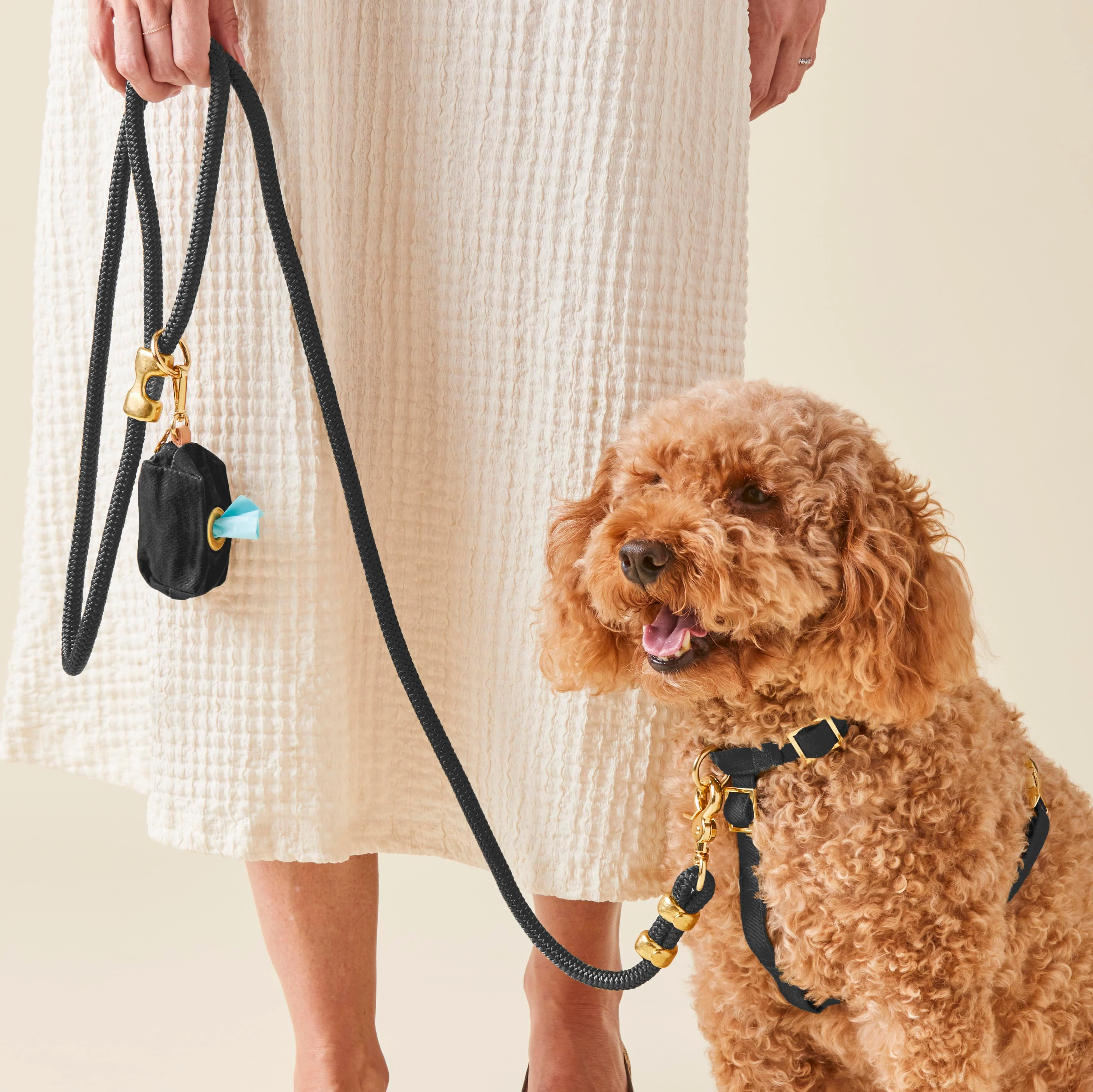 Onyx Marine Rope Dog Leash - Image 4