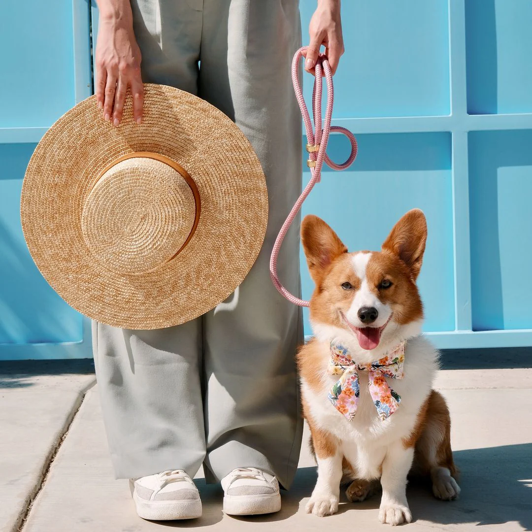 Orchid Marine Rope Dog Leash - Image 7