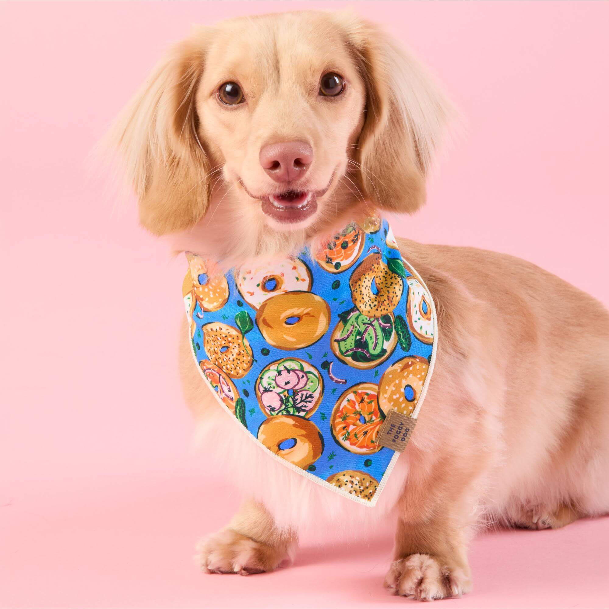 Printfresh x TFD Bagels & Schmear Mom + Dog Matching Gift Set (Short PJs) - Image 6