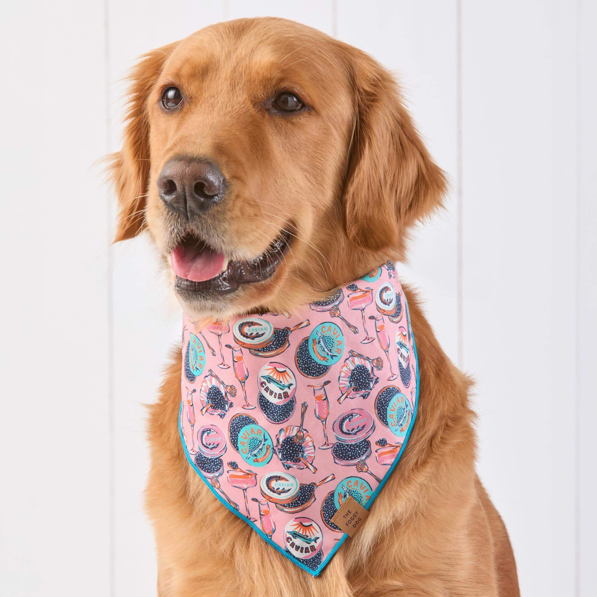 Printfresh x TFD Champagne & Caviar Mom + Dog Matching Gift Set (Long PJs) - Image 4