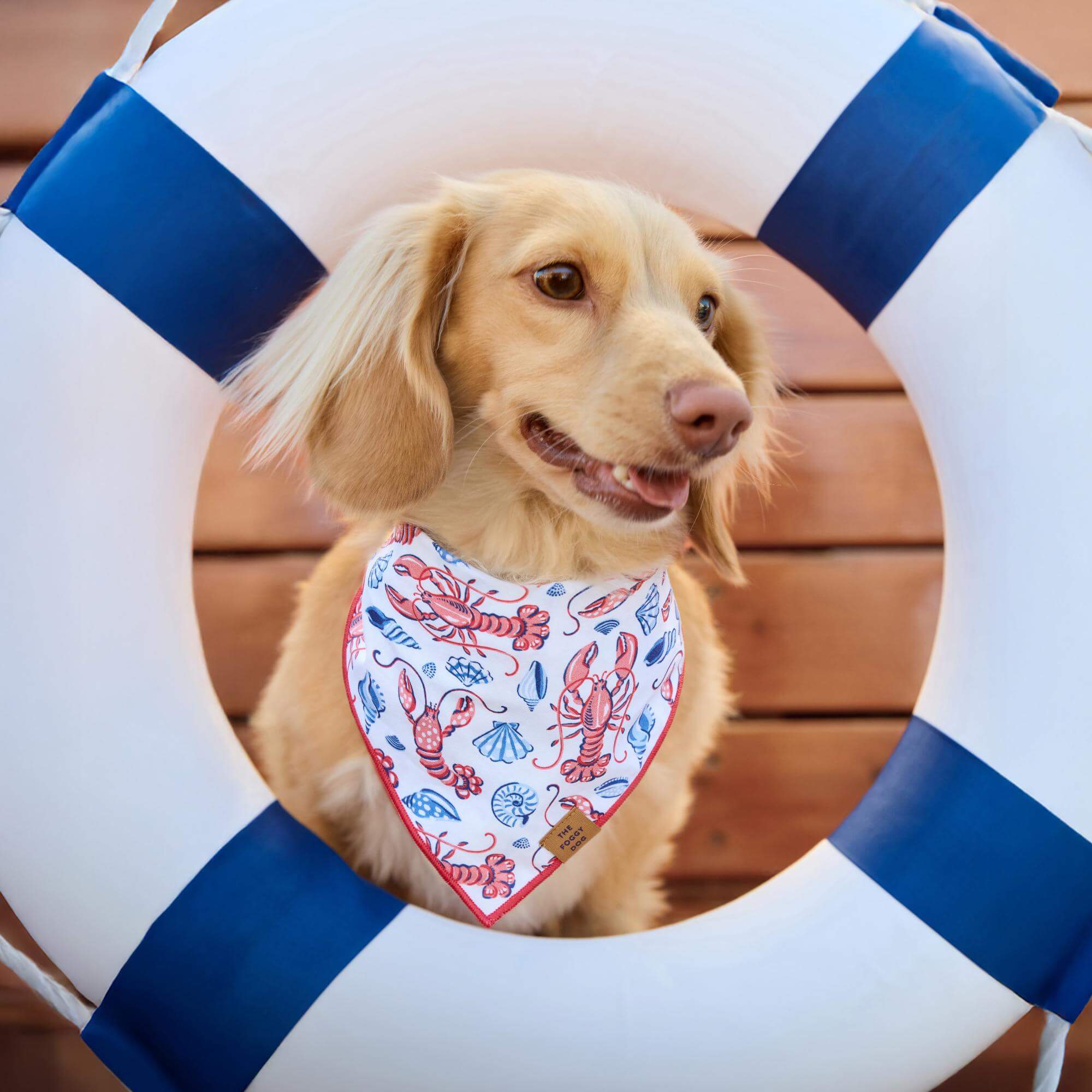 Printfresh x TFD Lobster Landing Dog Bandana - Image 3