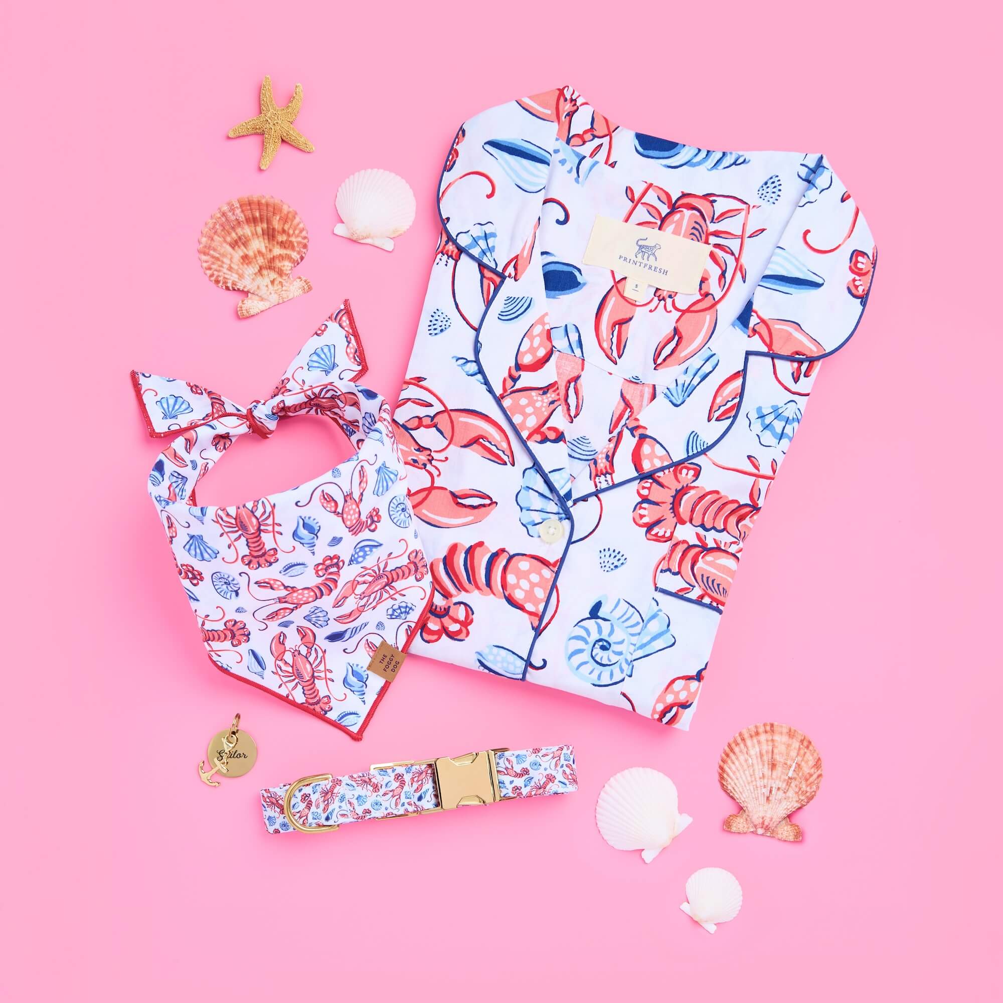 Printfresh x TFD Lobster Landing Dog Bandana - Image 4