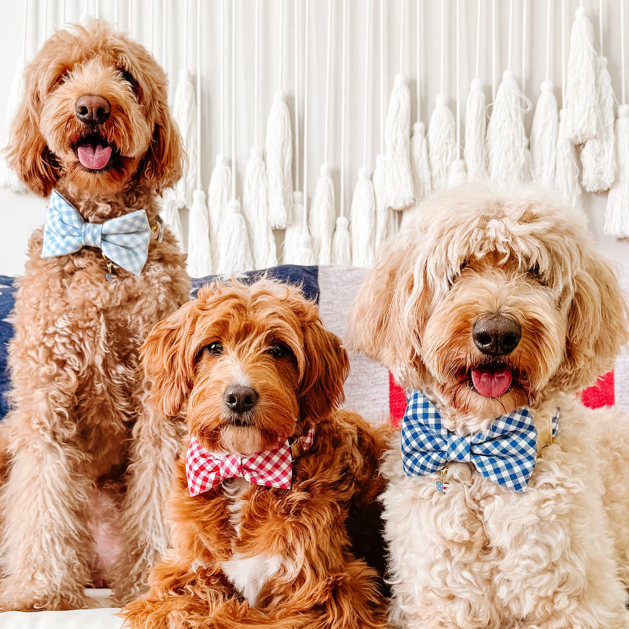 Red Gingham Bow Tie Collar - Image 5