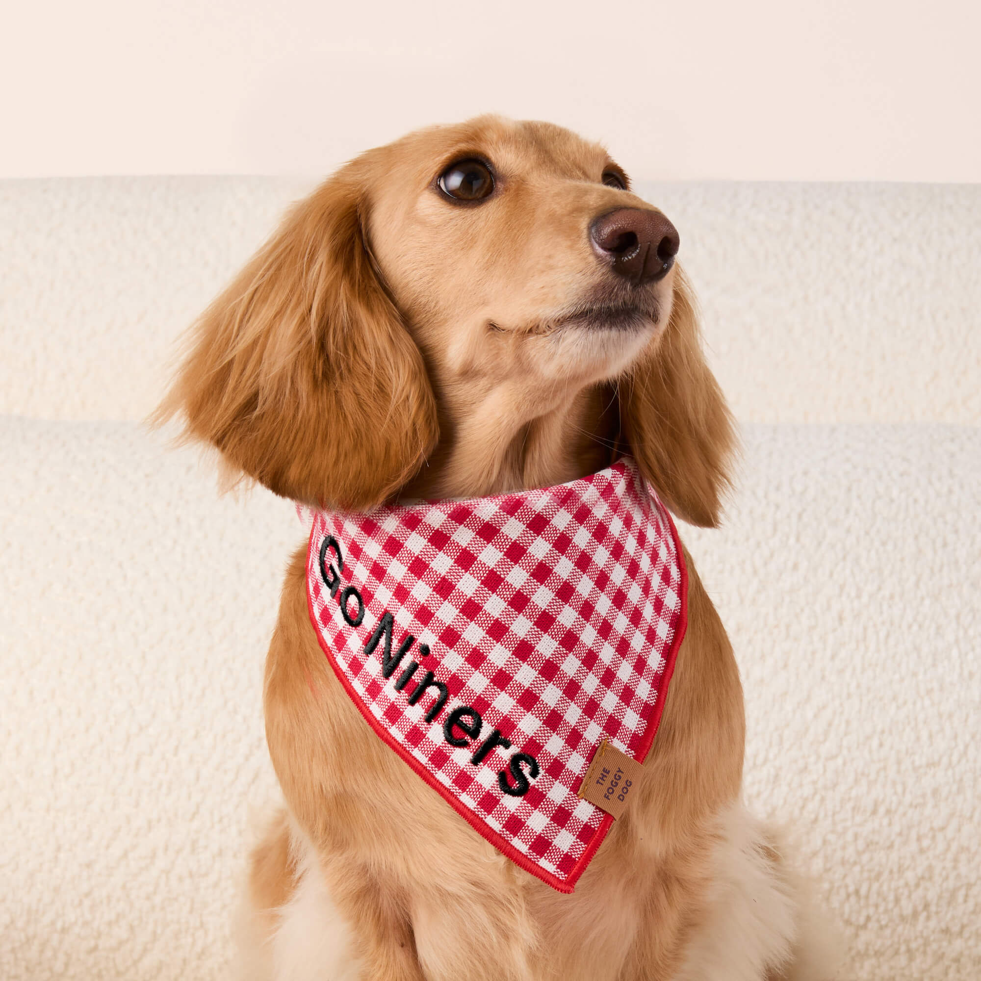 Red Gingham Dog Bandana - Image 3
