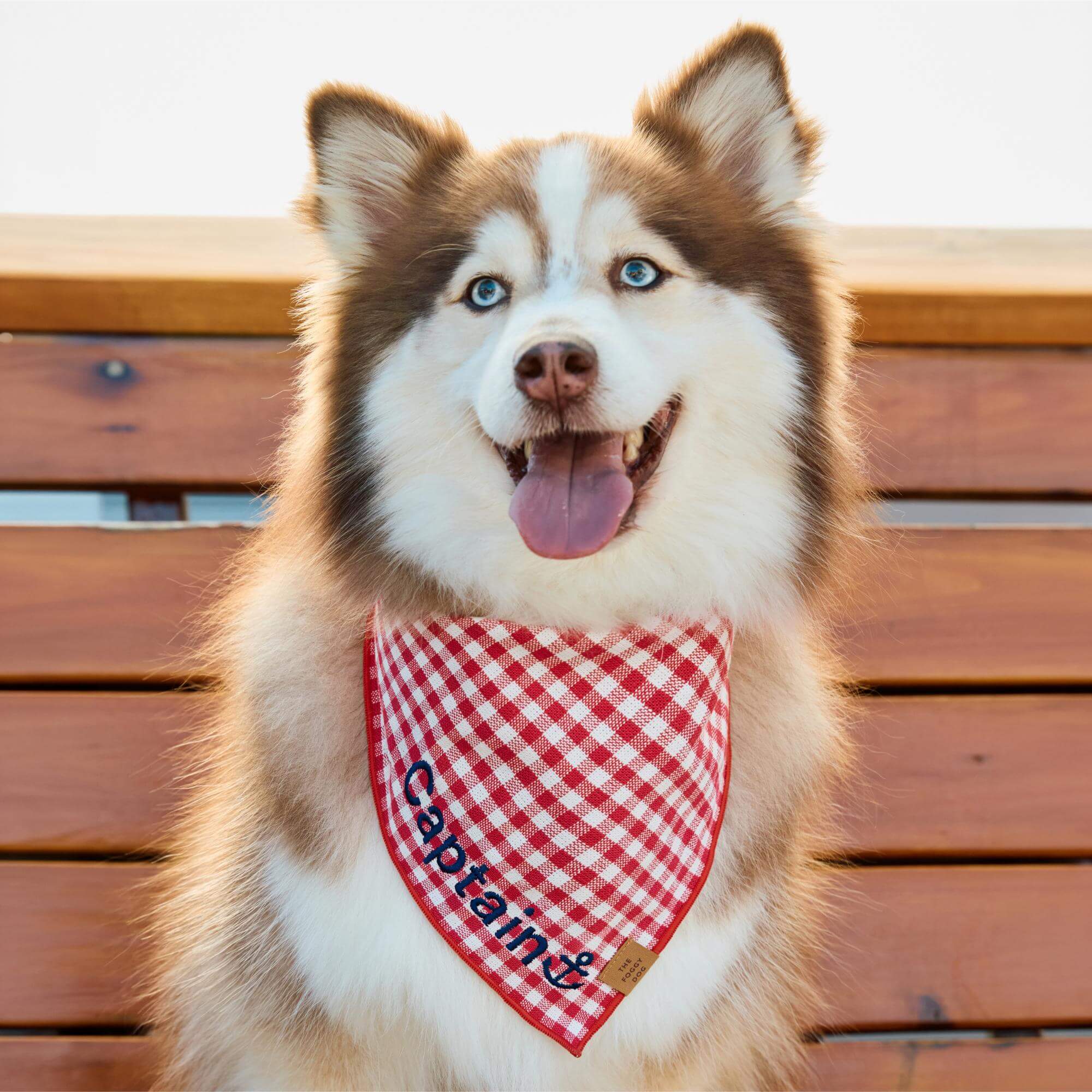 Red Gingham Dog Bandana - Image 4